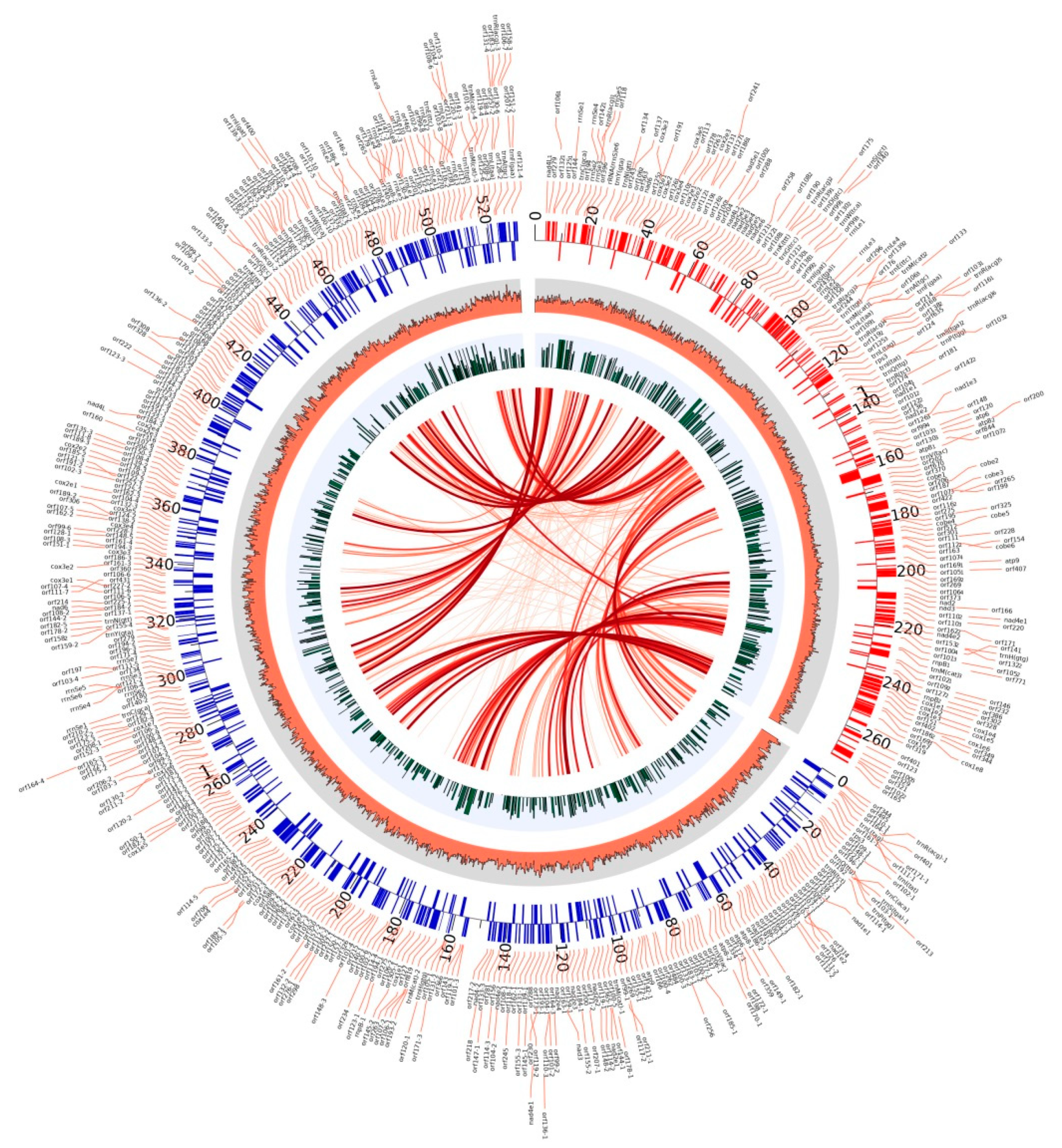 Ijms 21 00483 g004 Ijms 21 00483 g004