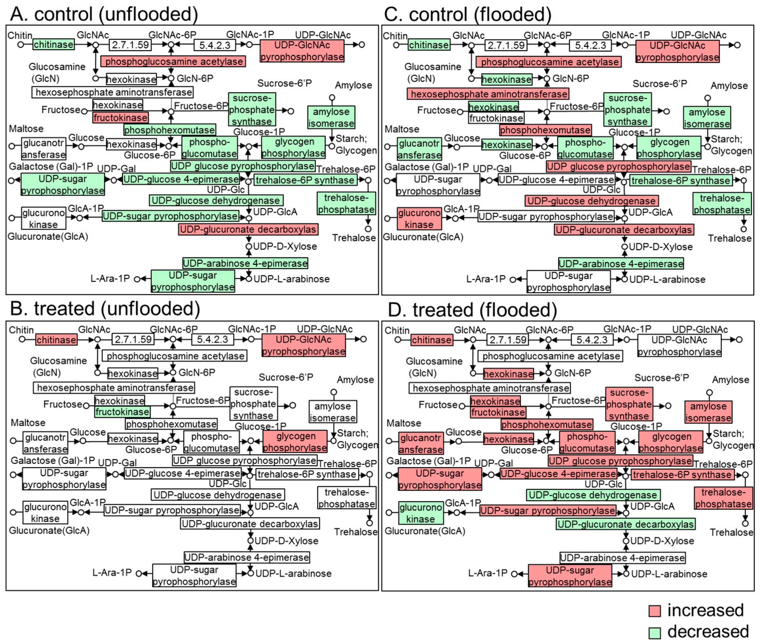 Ijms 21 00486 g006 Ijms 21 00486 g006