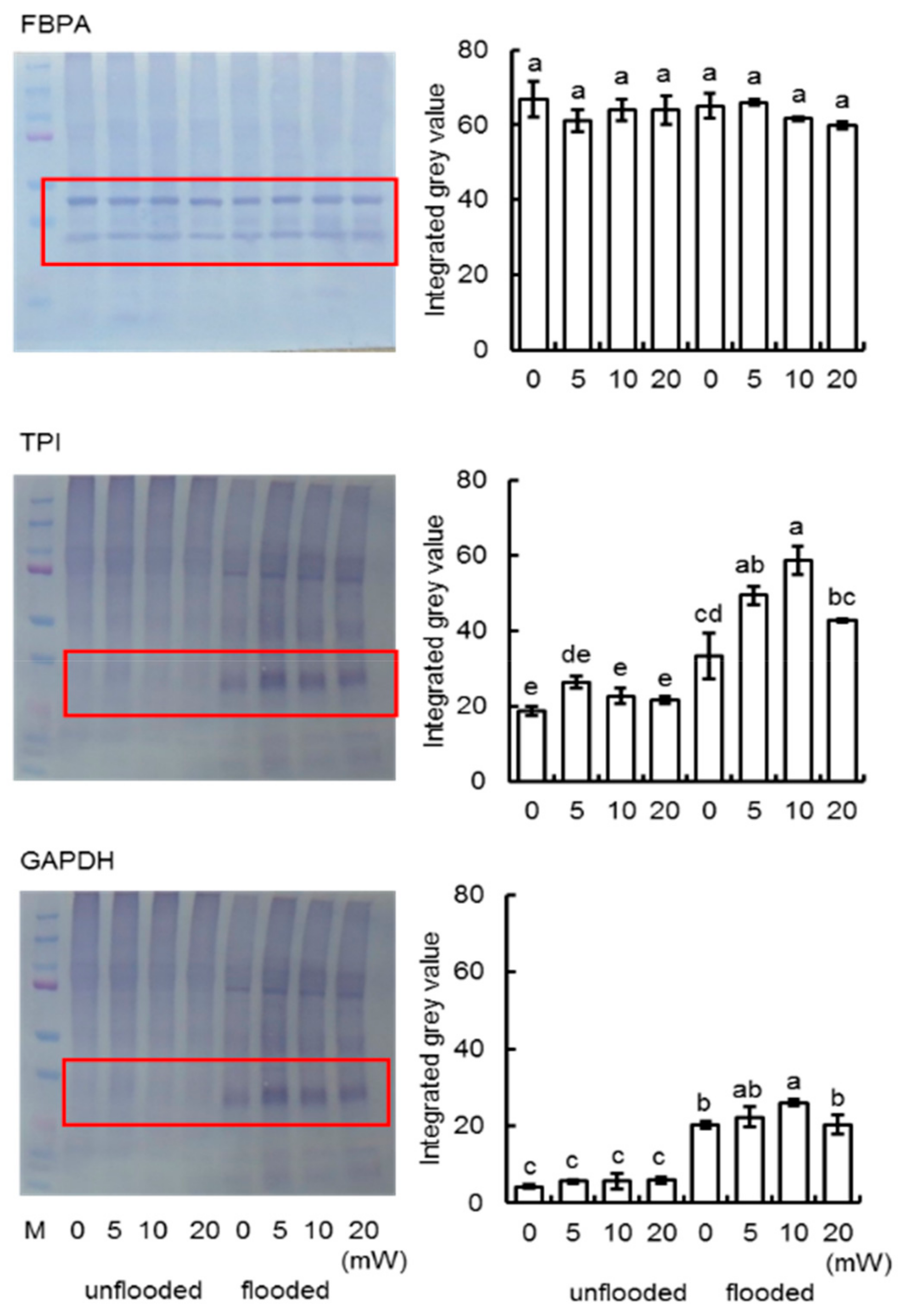 Ijms 21 00486 g008 Ijms 21 00486 g008