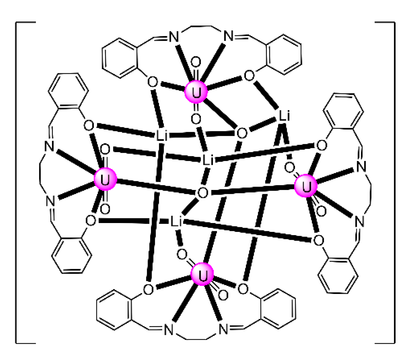 Ijms 21 00555 g026 Ijms 21 00555 g026