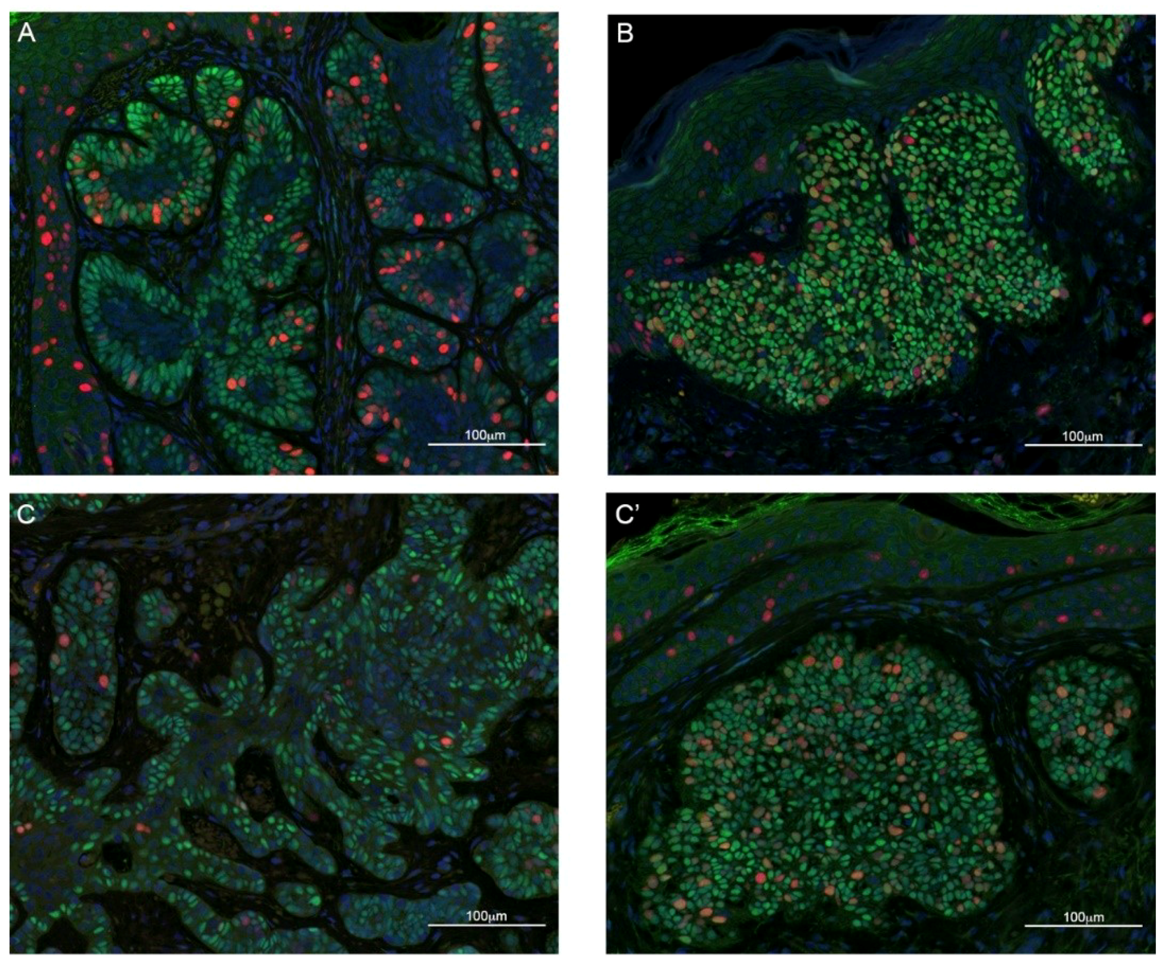 Ijms 21 00607 g002 Ijms 21 00607 g002
