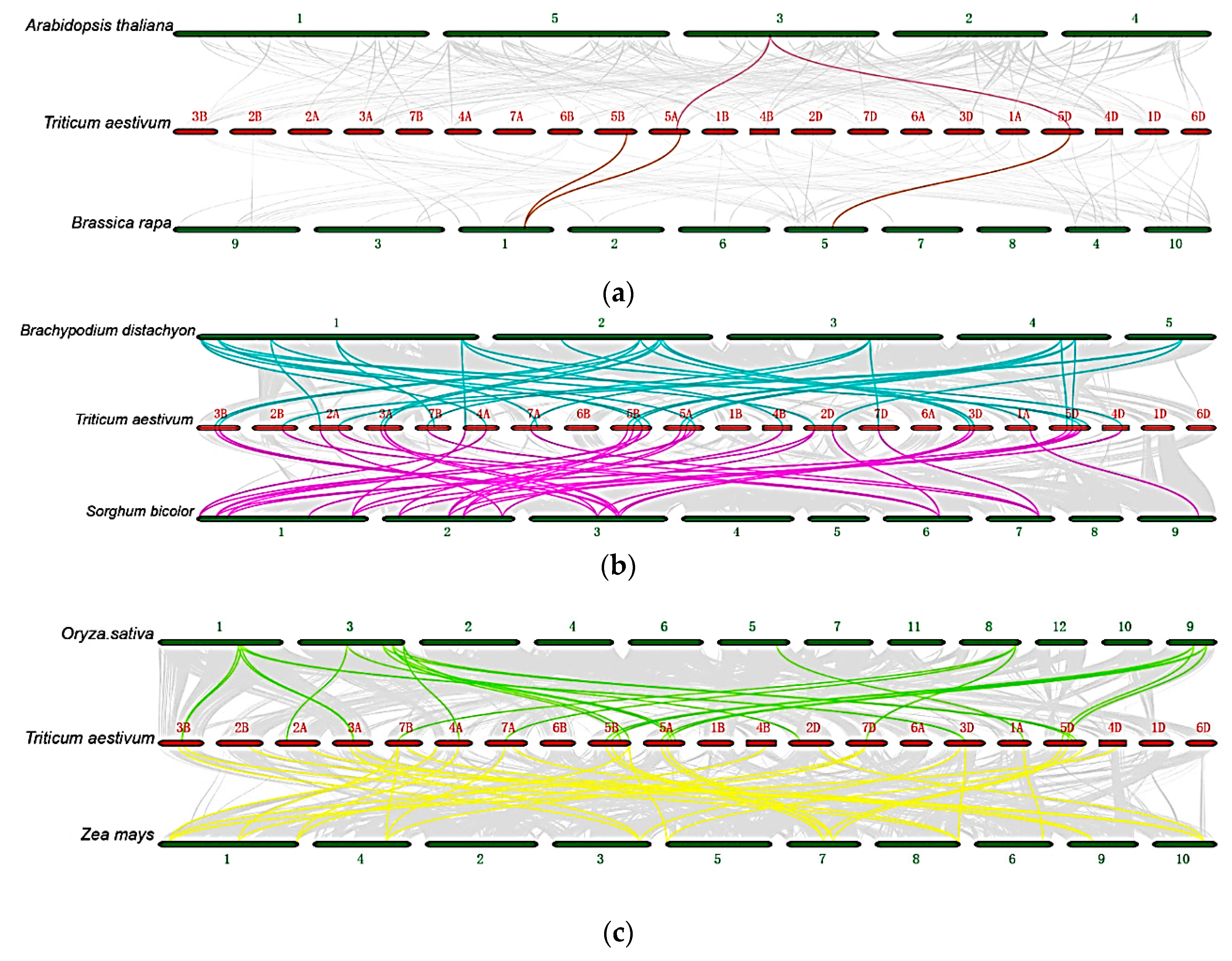 Ijms 21 00608 g001 Ijms 21 00608 g001
