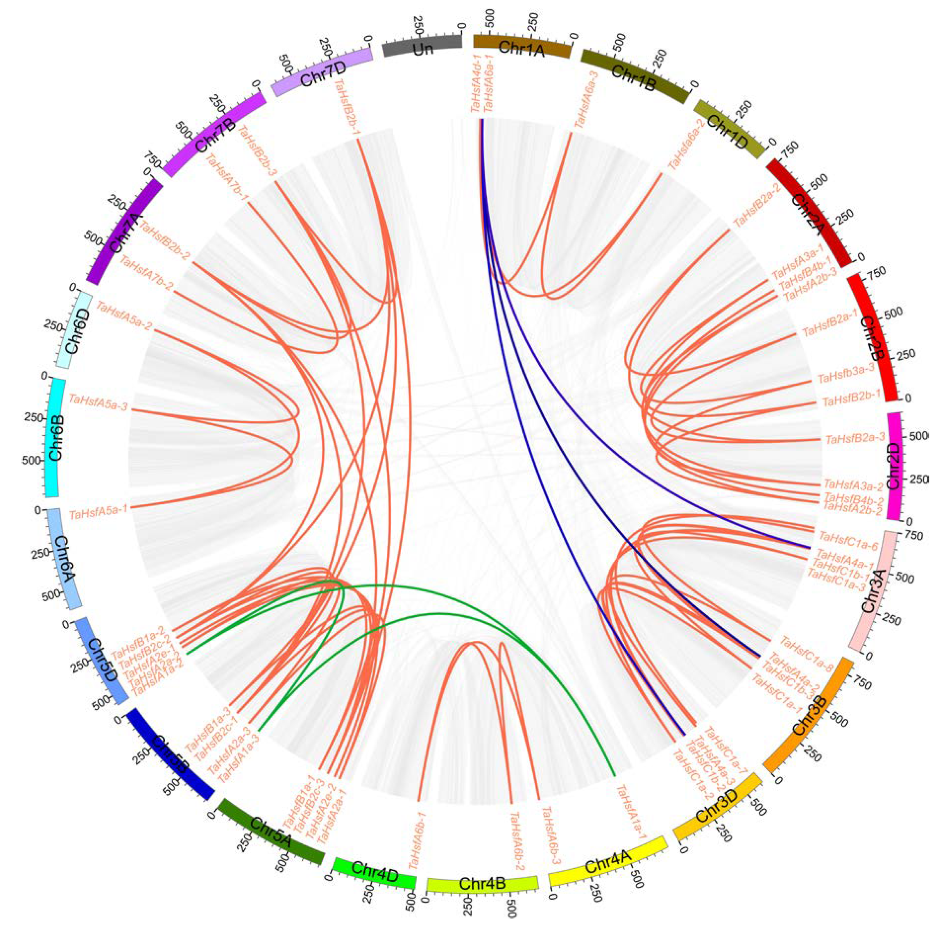 Ijms 21 00608 g003 Ijms 21 00608 g003