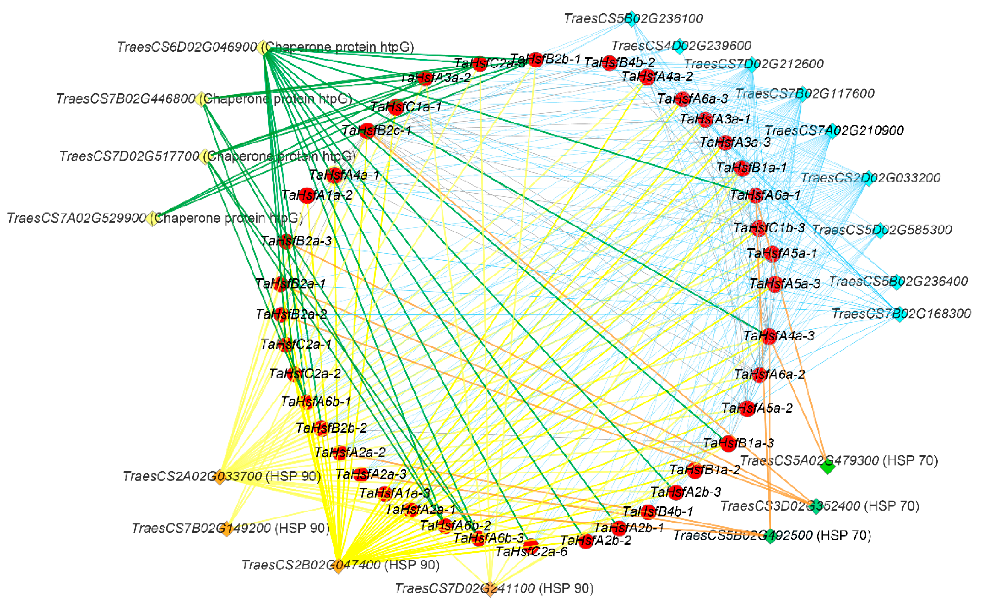 Ijms 21 00608 g006 Ijms 21 00608 g006