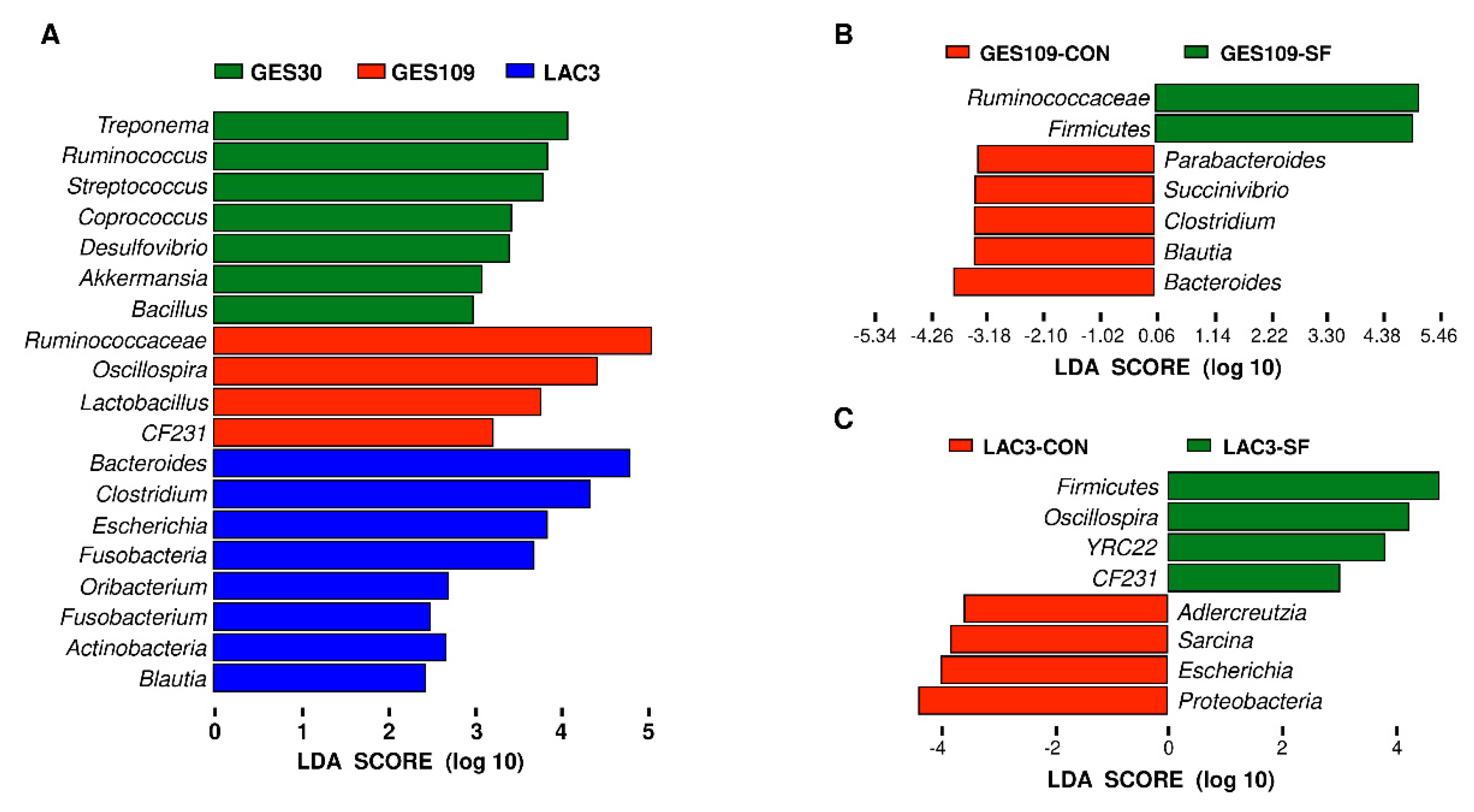 Ijms 21 00635 g003 Ijms 21 00635 g003