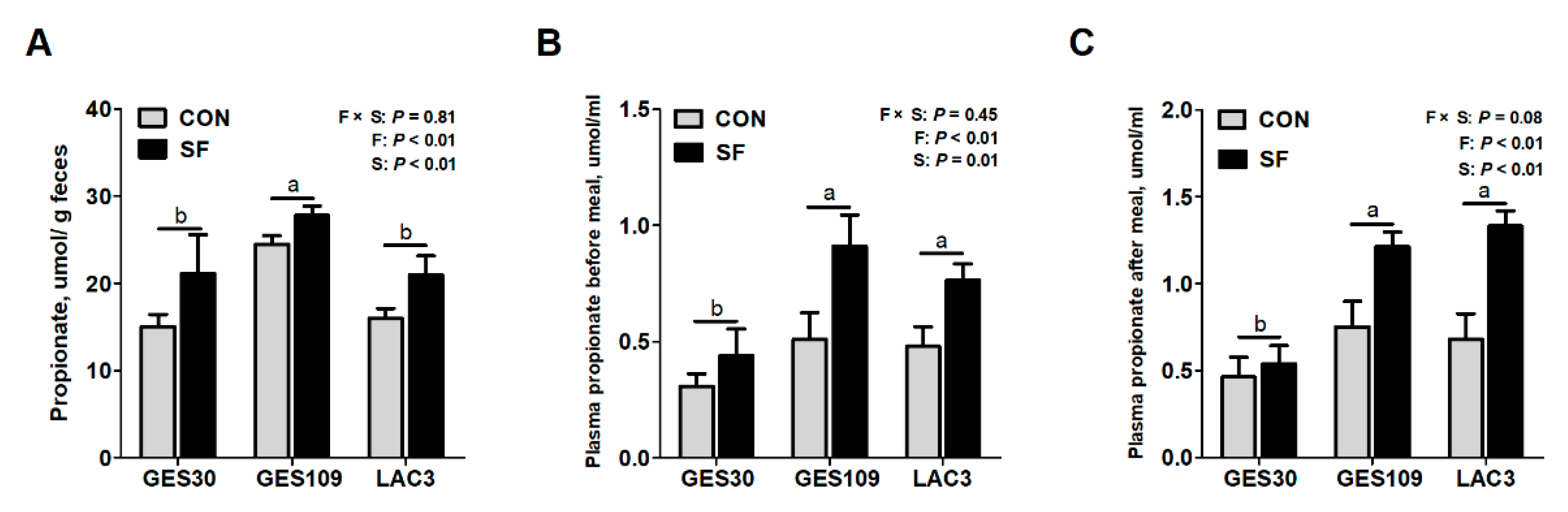 Ijms 21 00635 g004 Ijms 21 00635 g004