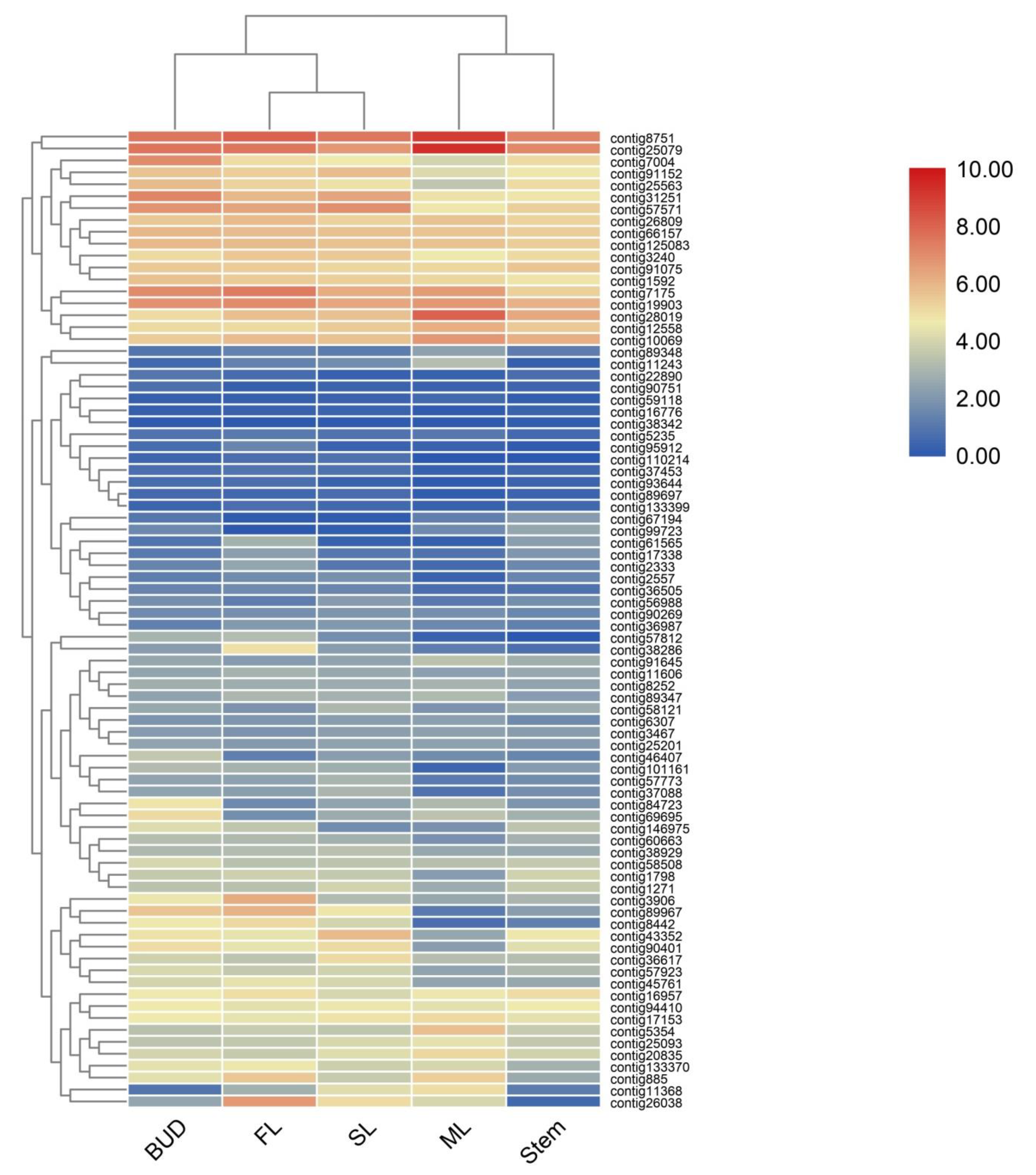 Ijms 21 00655 g003 Ijms 21 00655 g003