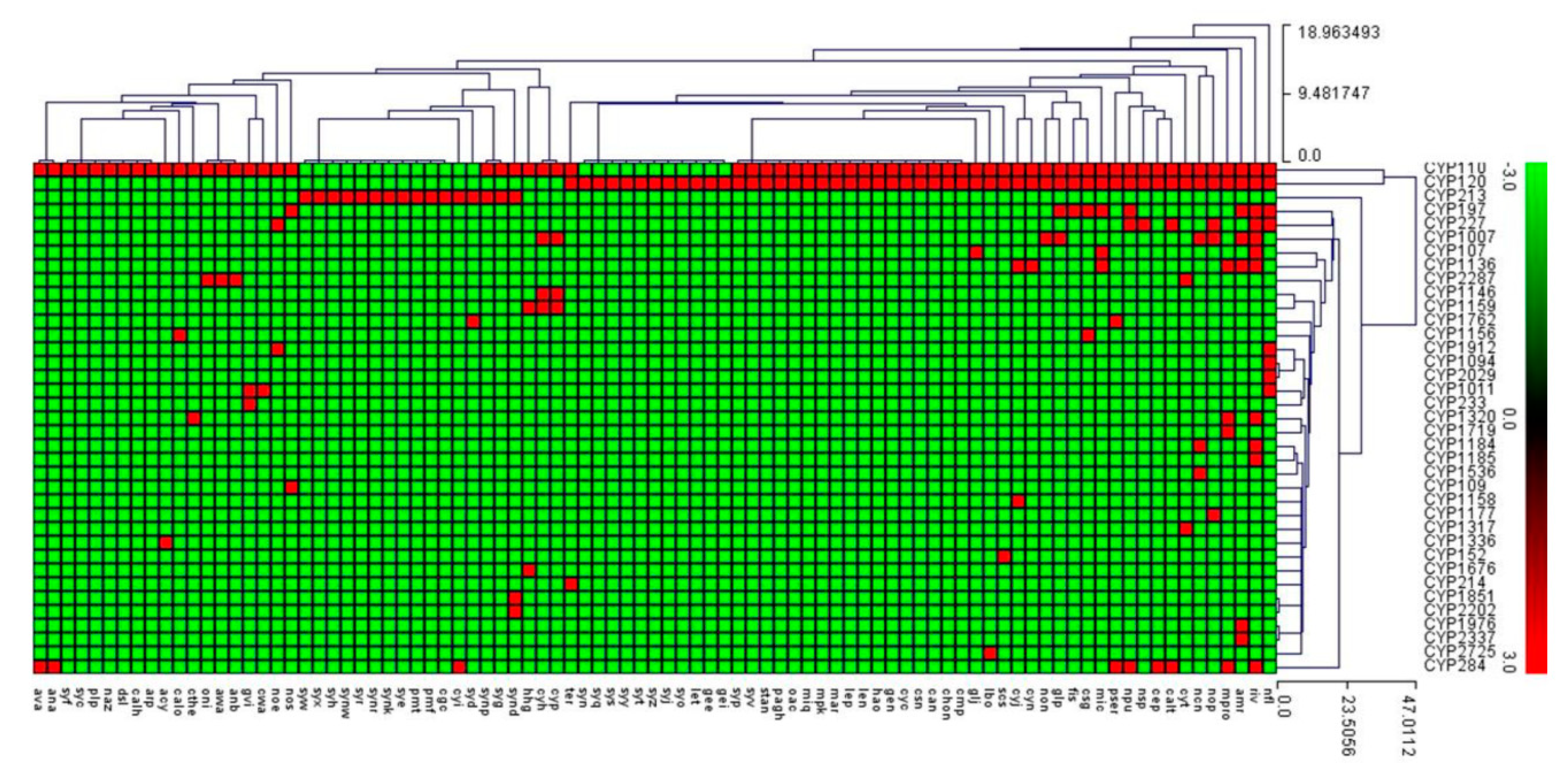 Ijms 21 00656 g005 Ijms 21 00656 g005