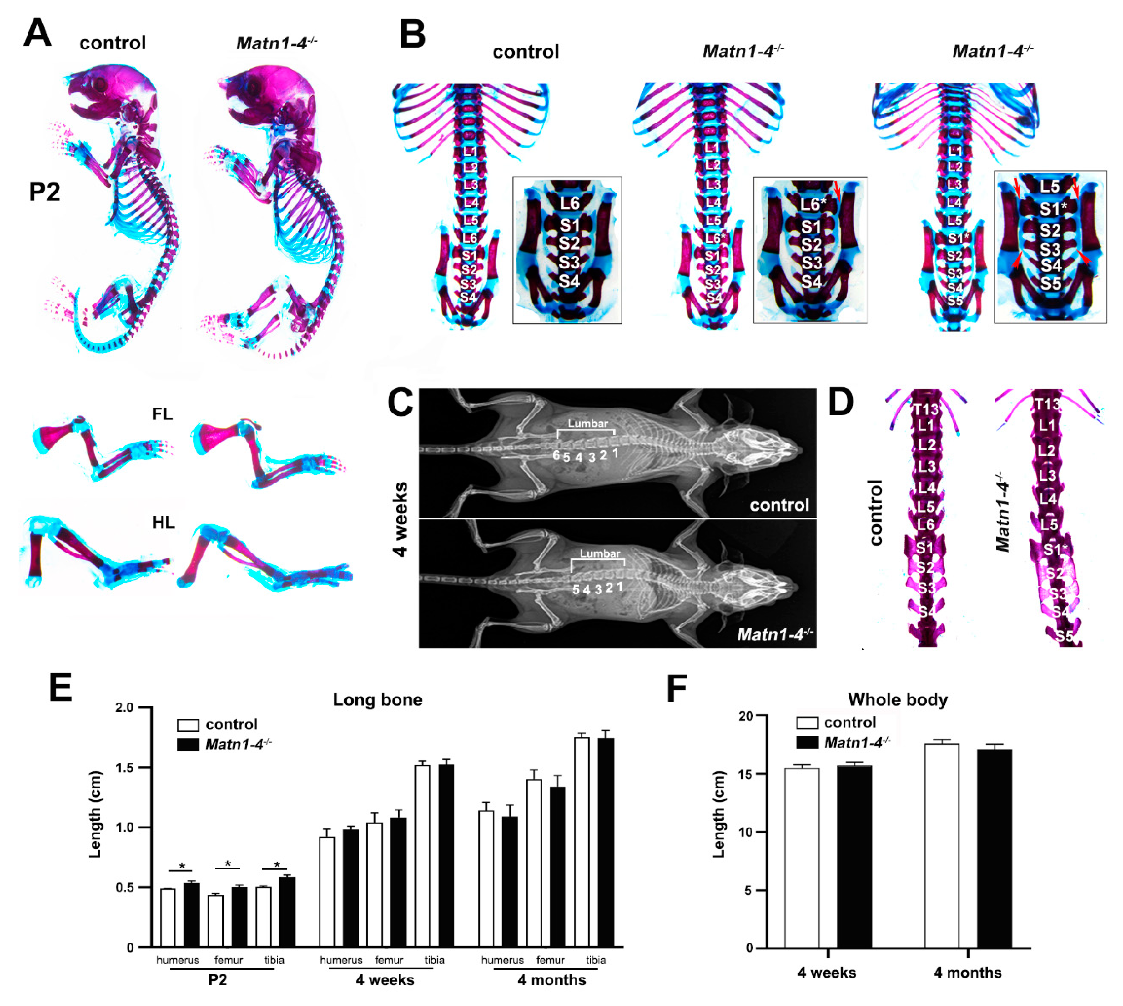 Ijms 21 00666 g002 Ijms 21 00666 g002
