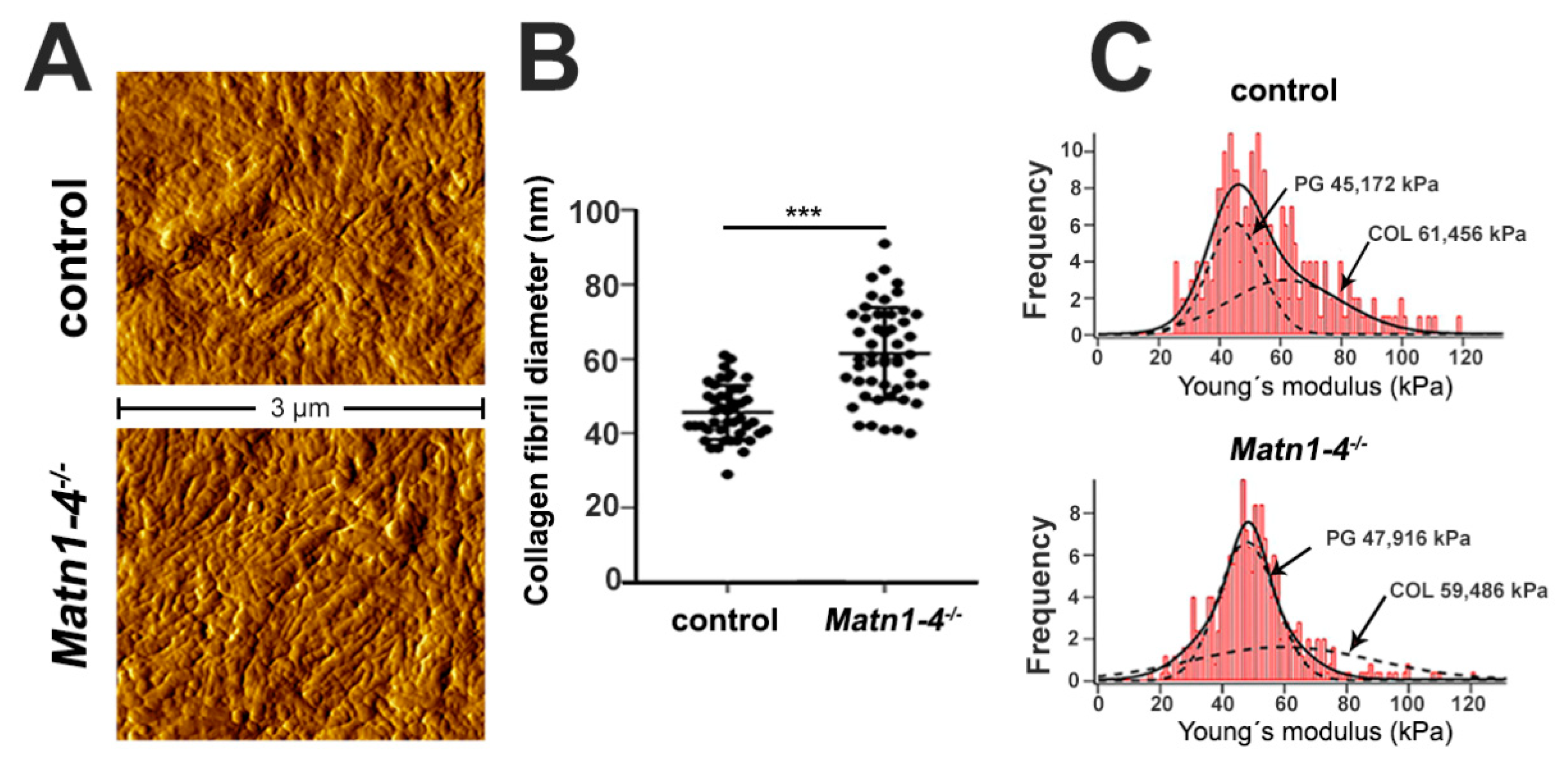 Ijms 21 00666 g006 Ijms 21 00666 g006