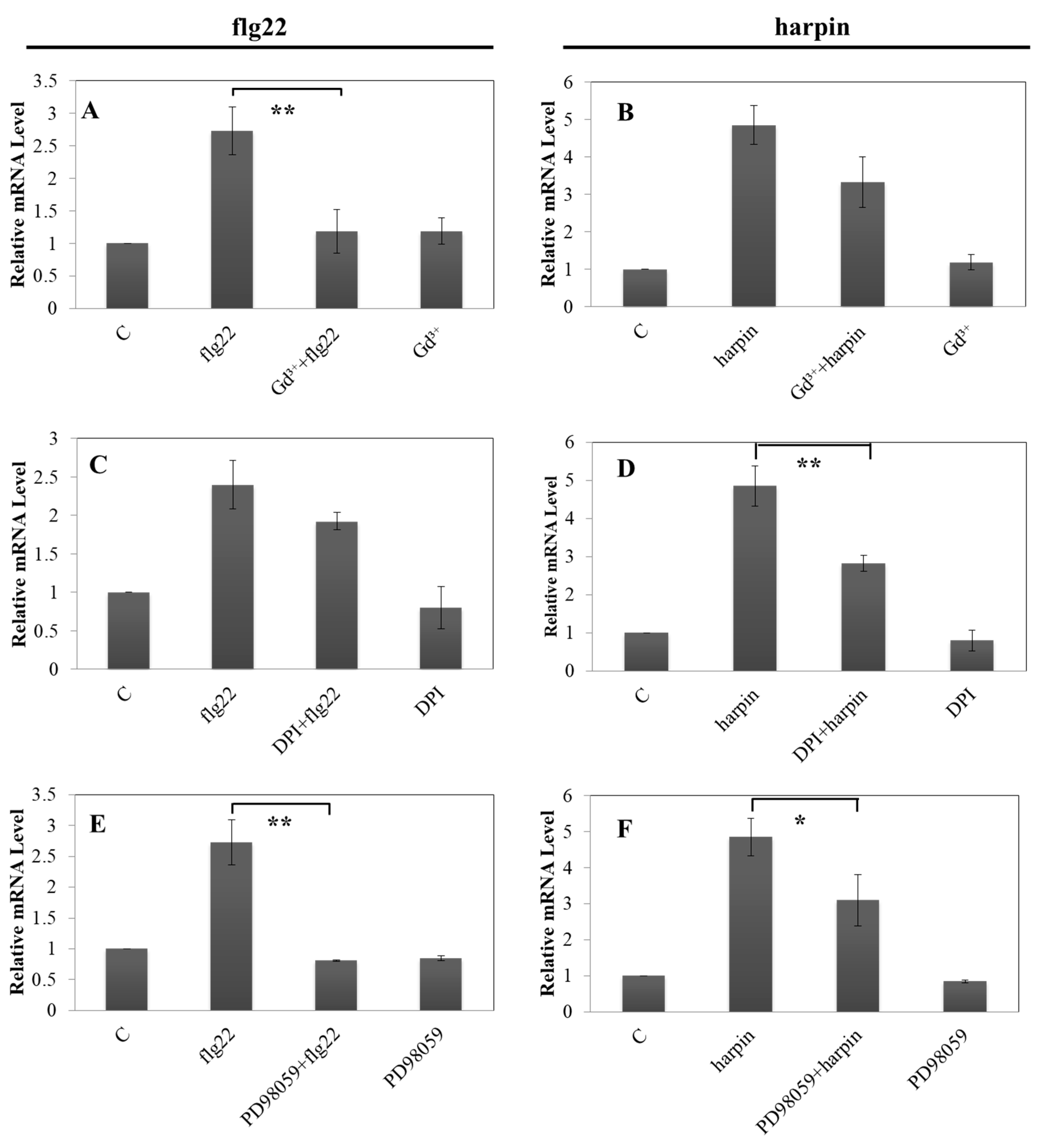 Ijms 21 00706 g005 Ijms 21 00706 g005