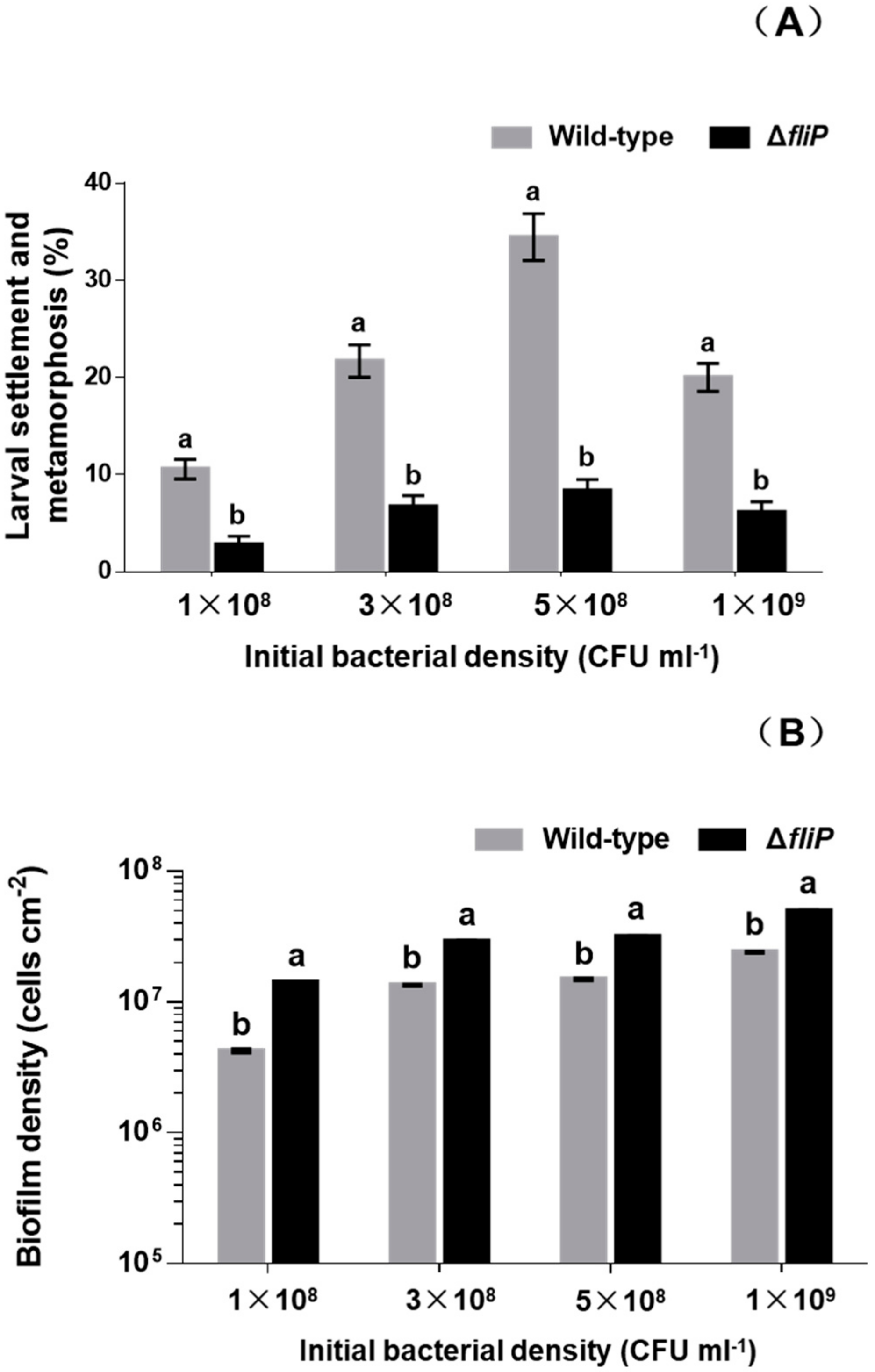 Ijms 21 00710 g002 Ijms 21 00710 g002
