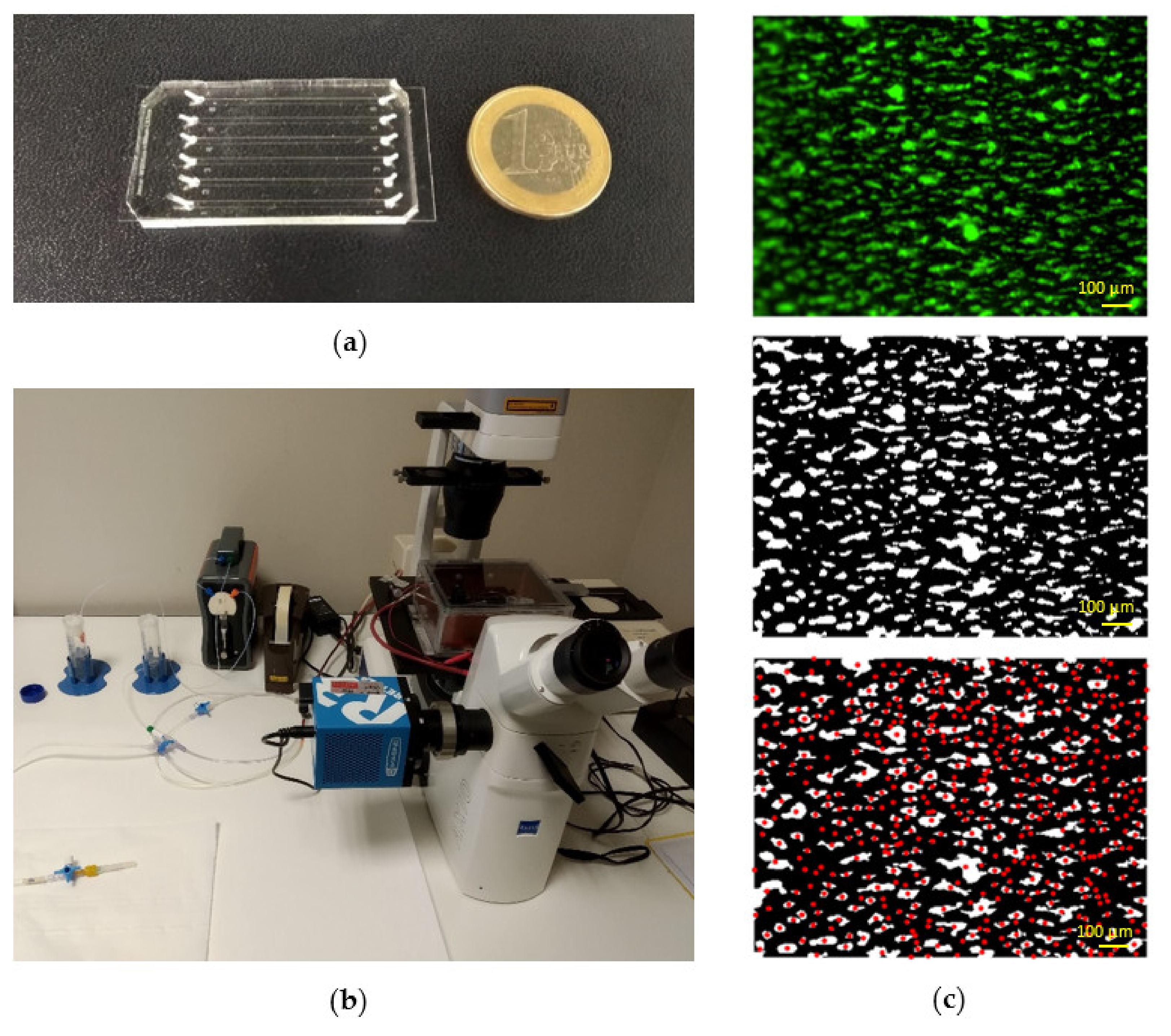 Ijms 21 00750 g008 Ijms 21 00750 g008