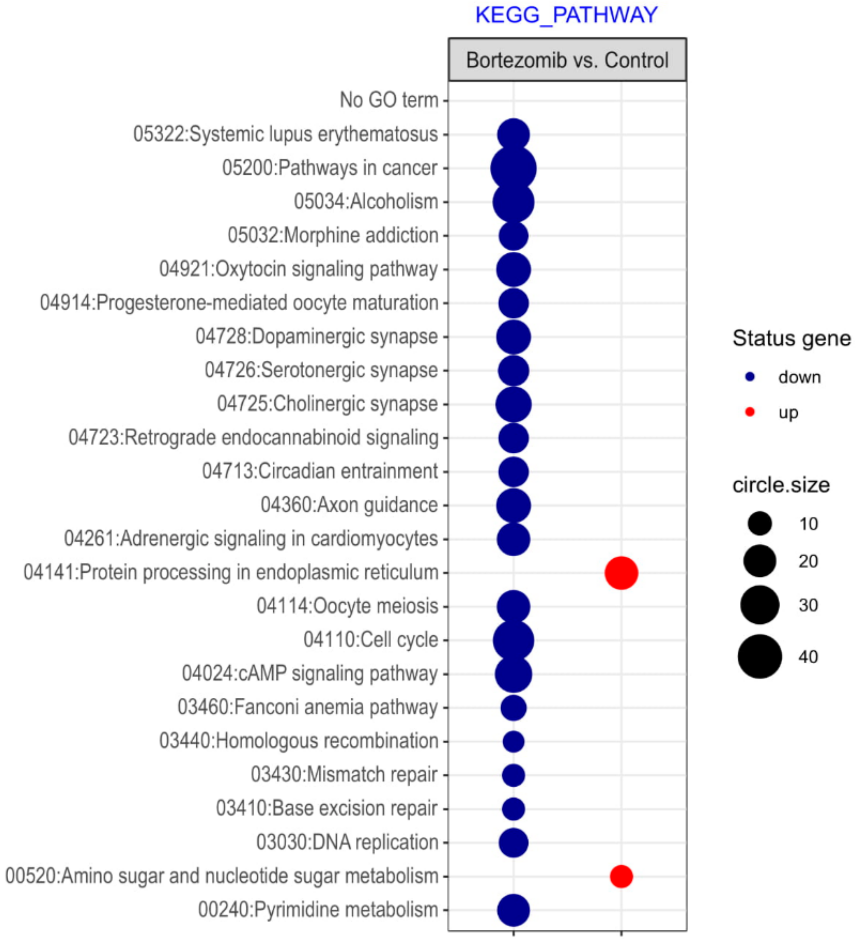 Ijms 21 00751 g003 Ijms 21 00751 g003