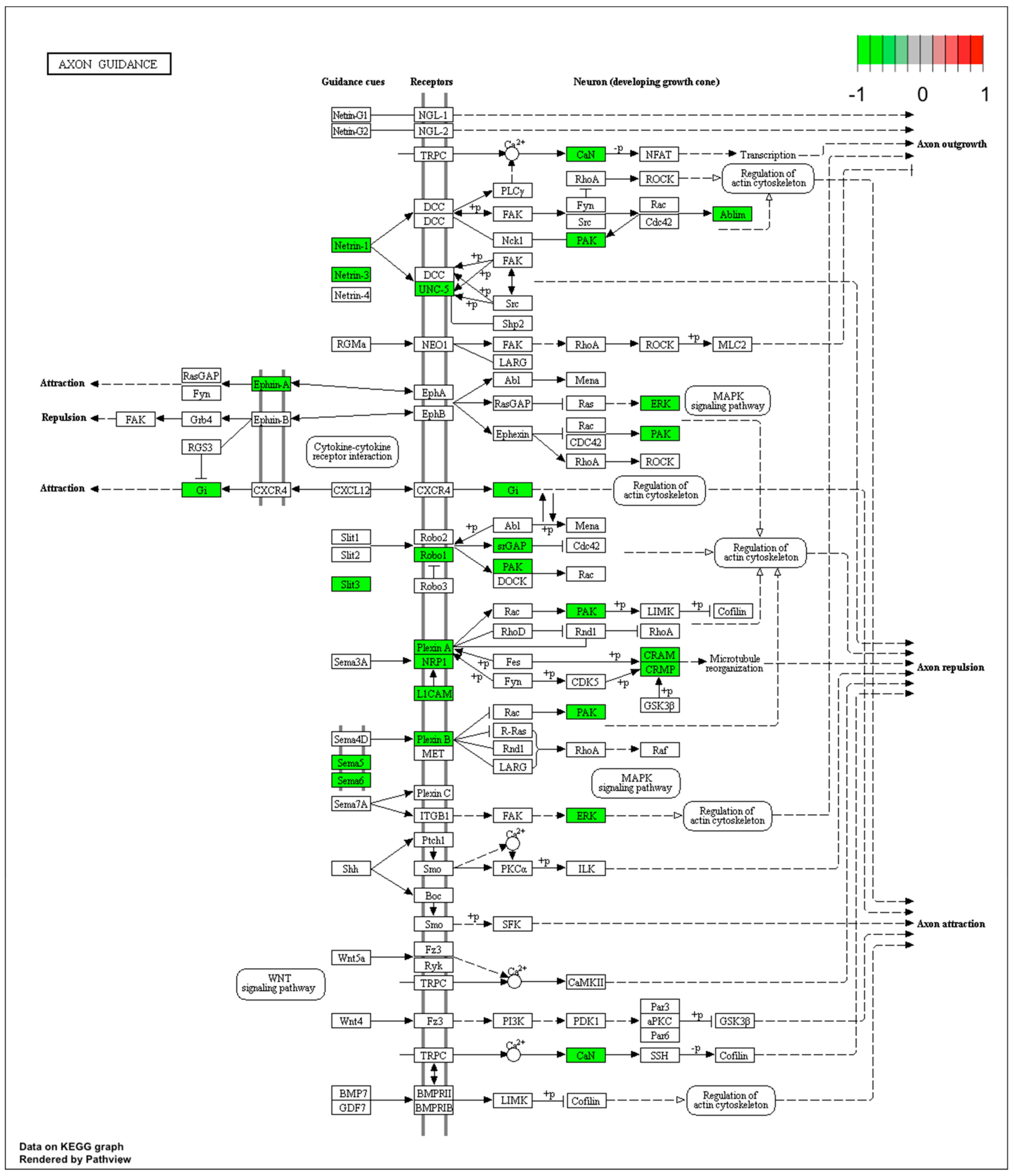 Ijms 21 00751 g004 Ijms 21 00751 g004