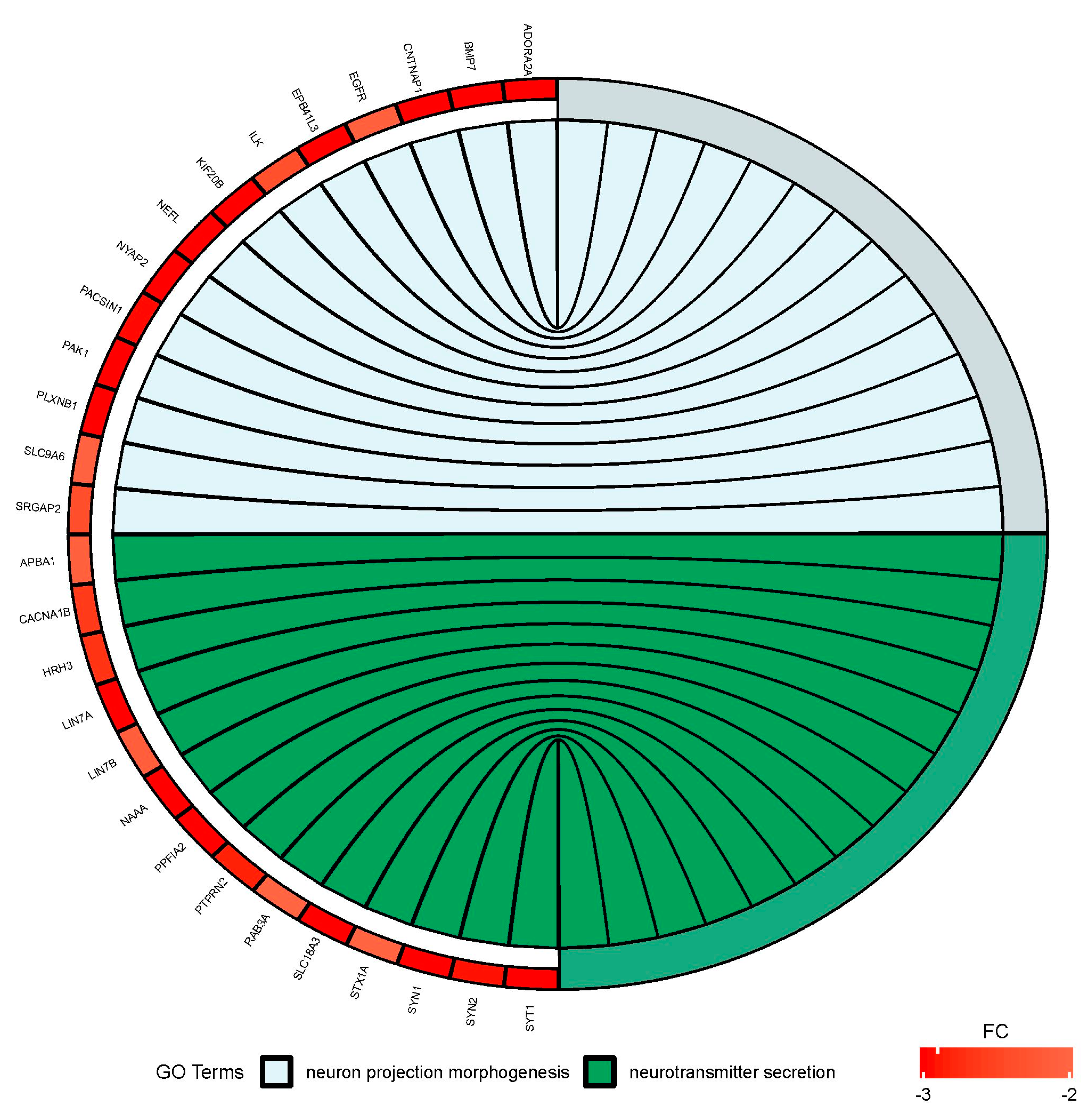 Ijms 21 00751 g006 Ijms 21 00751 g006