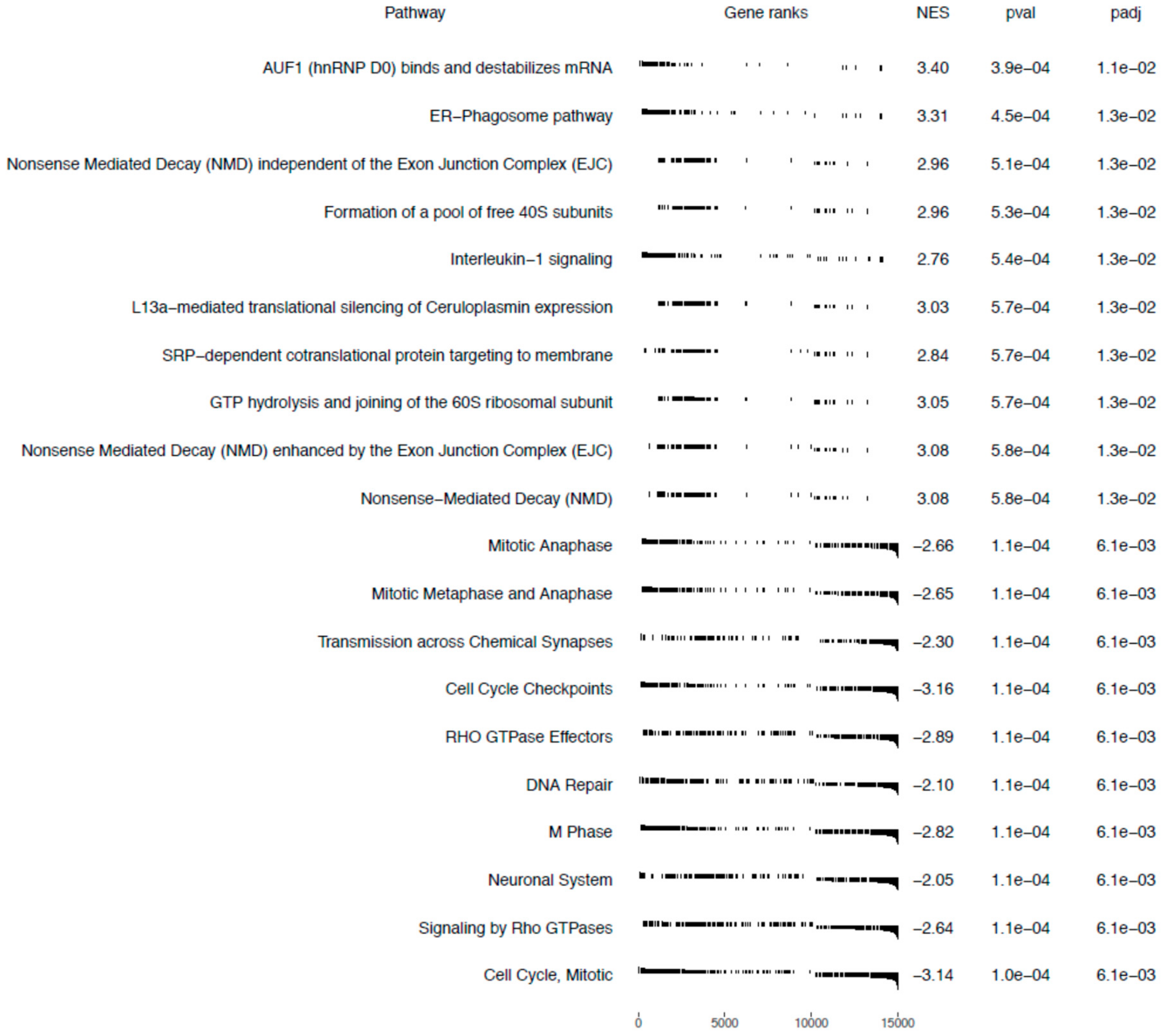 Ijms 21 00751 g008 Ijms 21 00751 g008