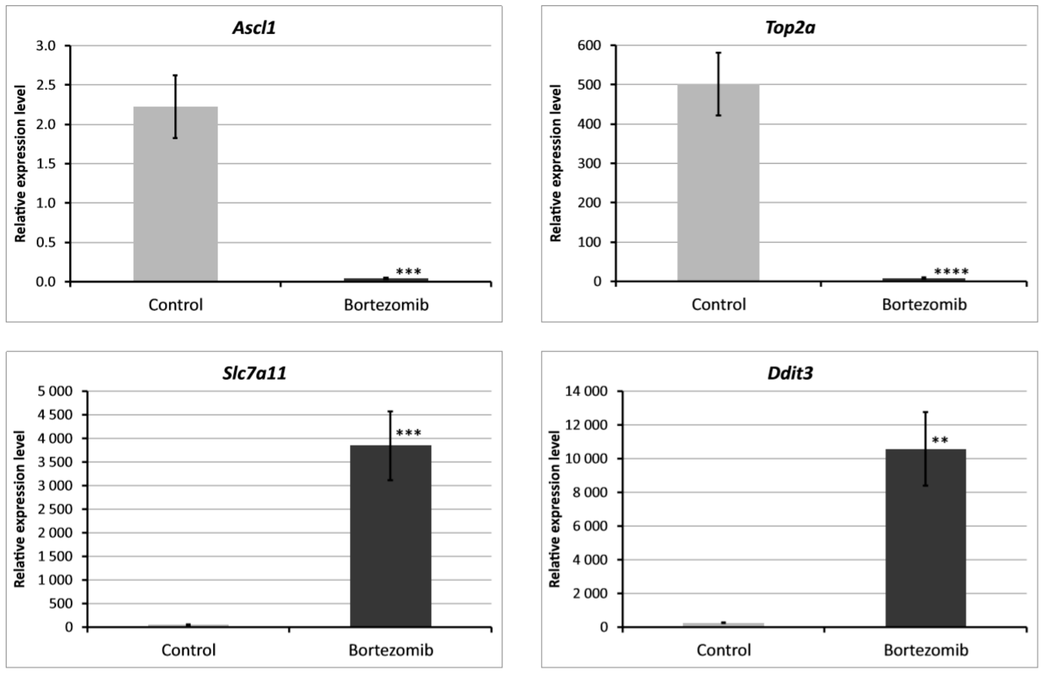 Ijms 21 00751 g009 Ijms 21 00751 g009