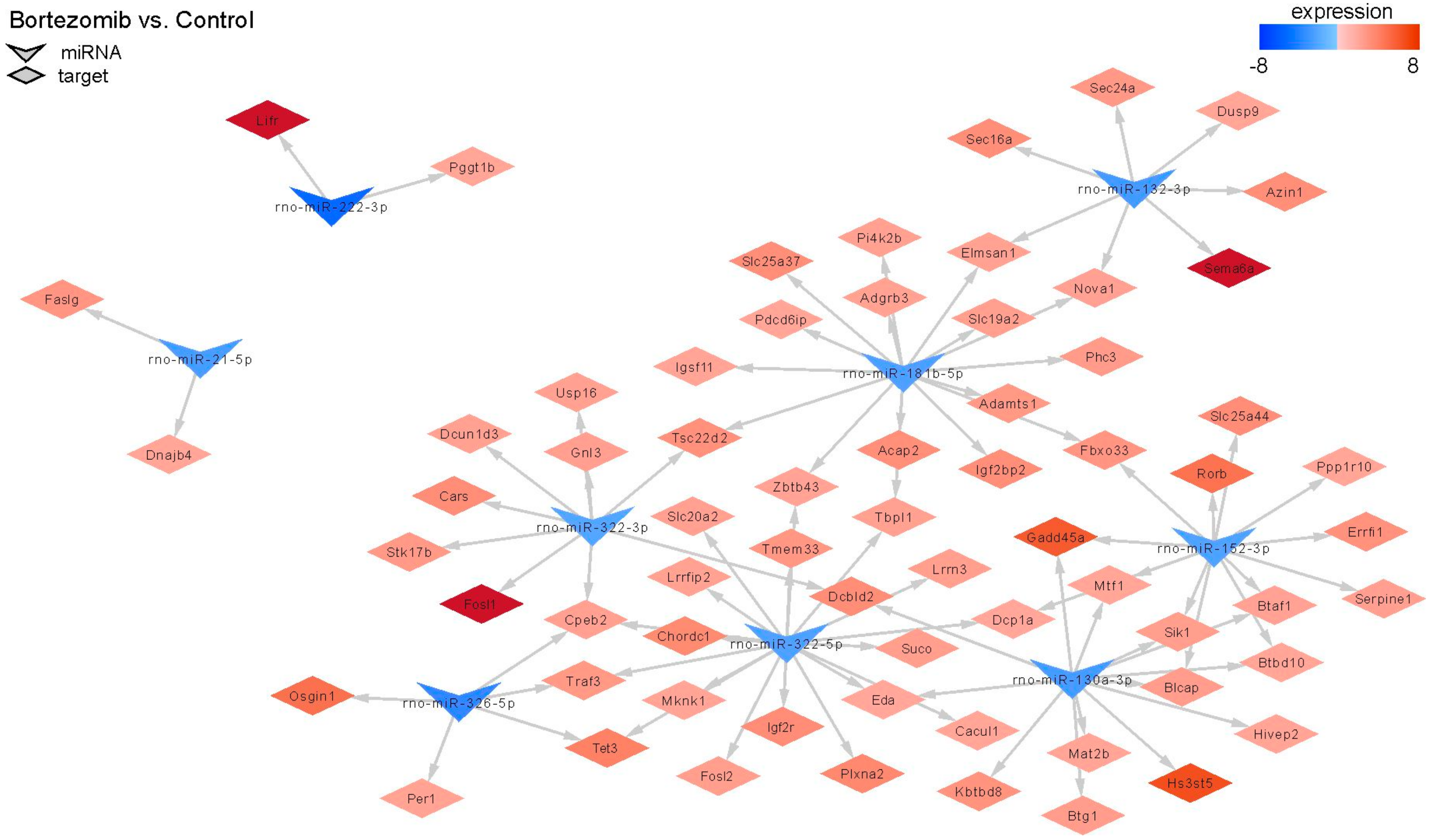 Ijms 21 00751 g011 Ijms 21 00751 g011