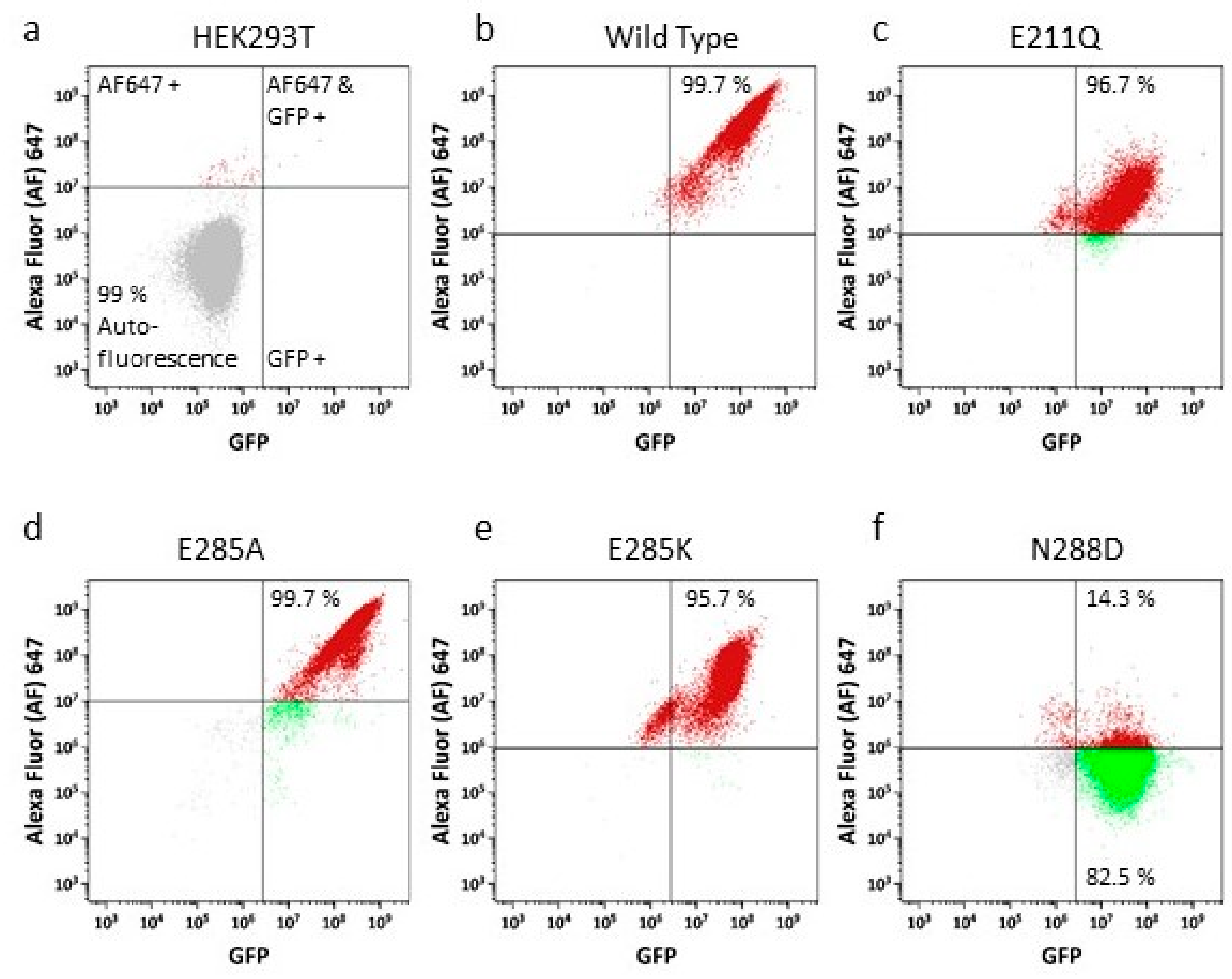 Ijms 21 00759 g003 Ijms 21 00759 g003