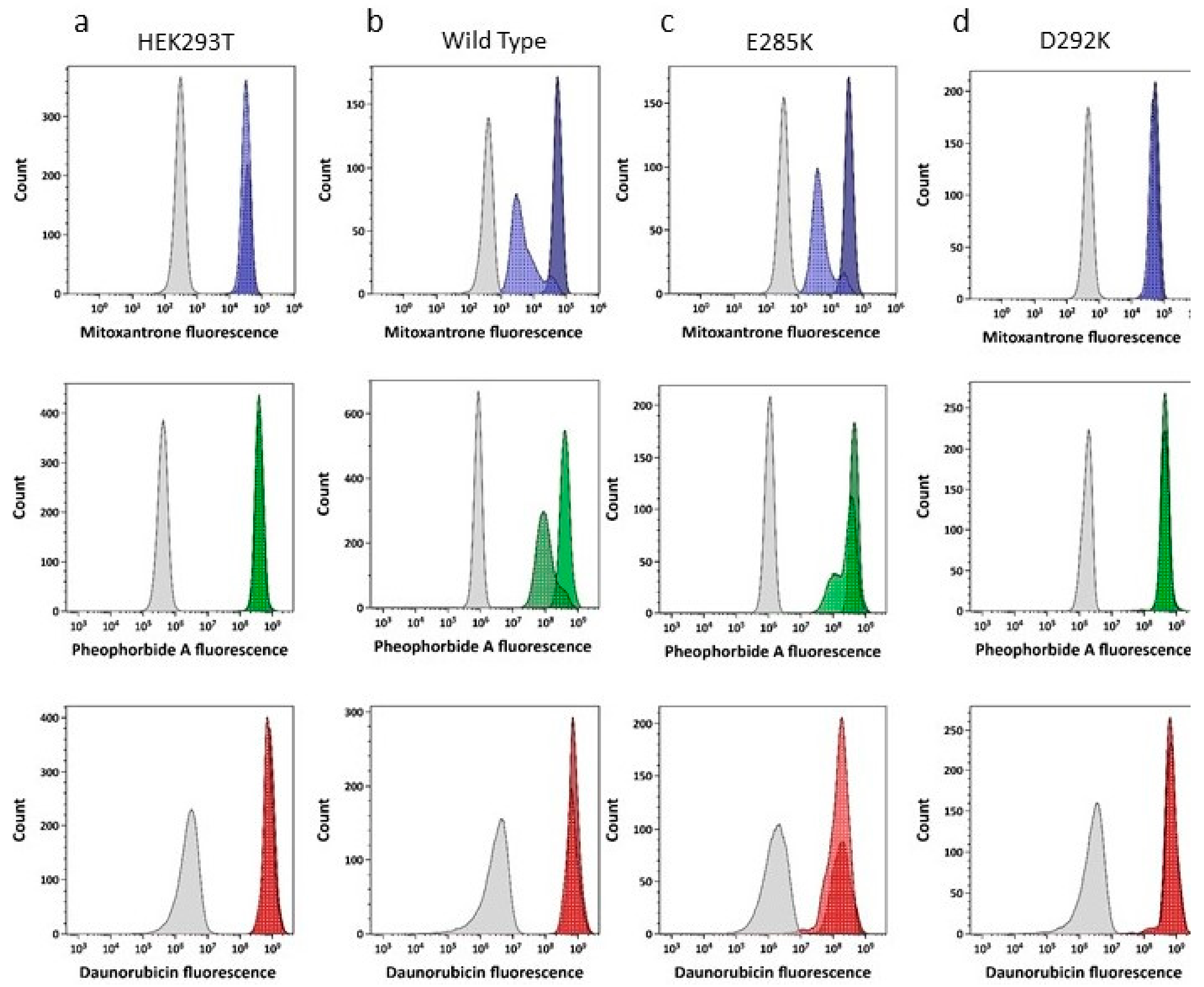 Ijms 21 00759 g004 Ijms 21 00759 g004