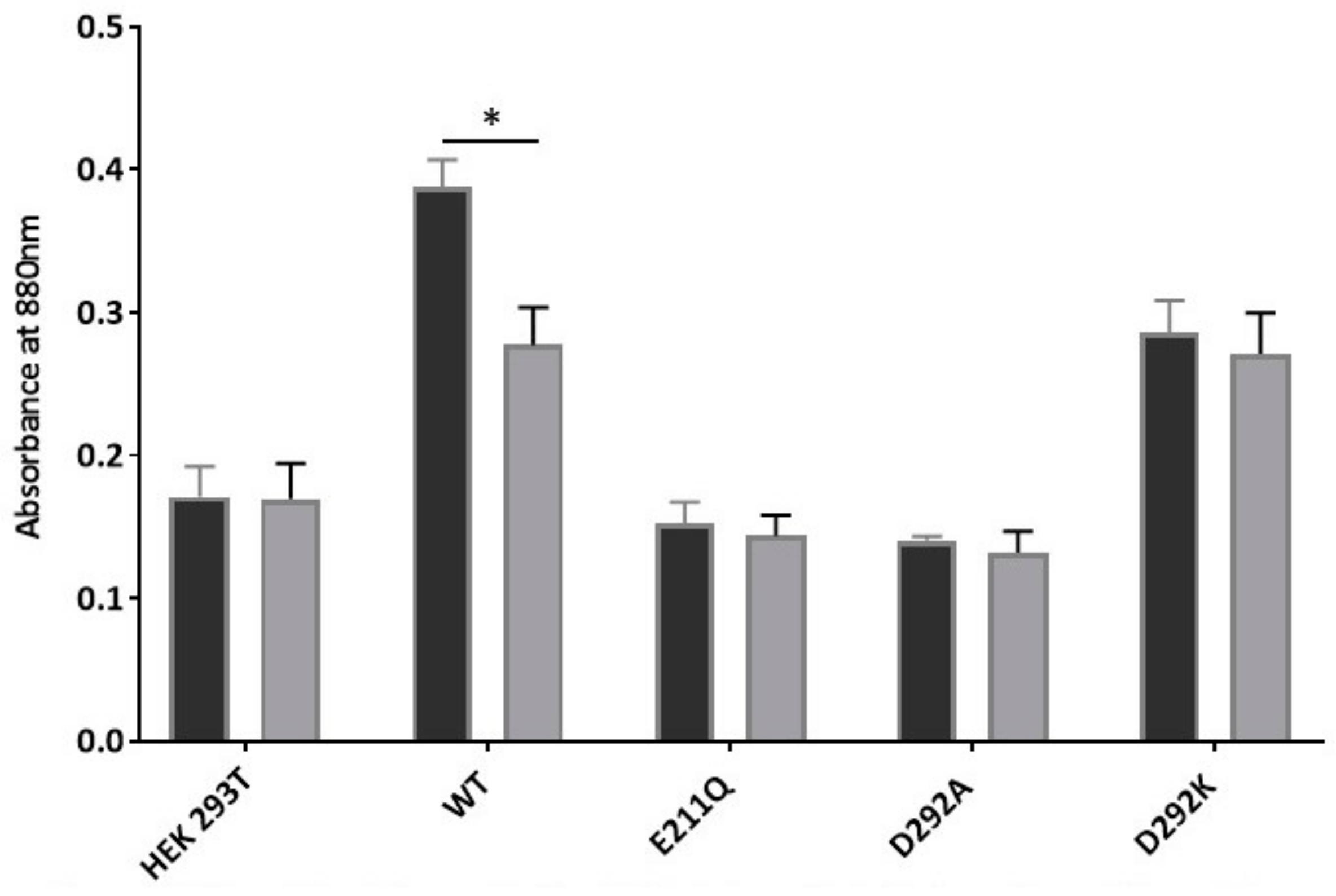 Ijms 21 00759 g005 Ijms 21 00759 g005