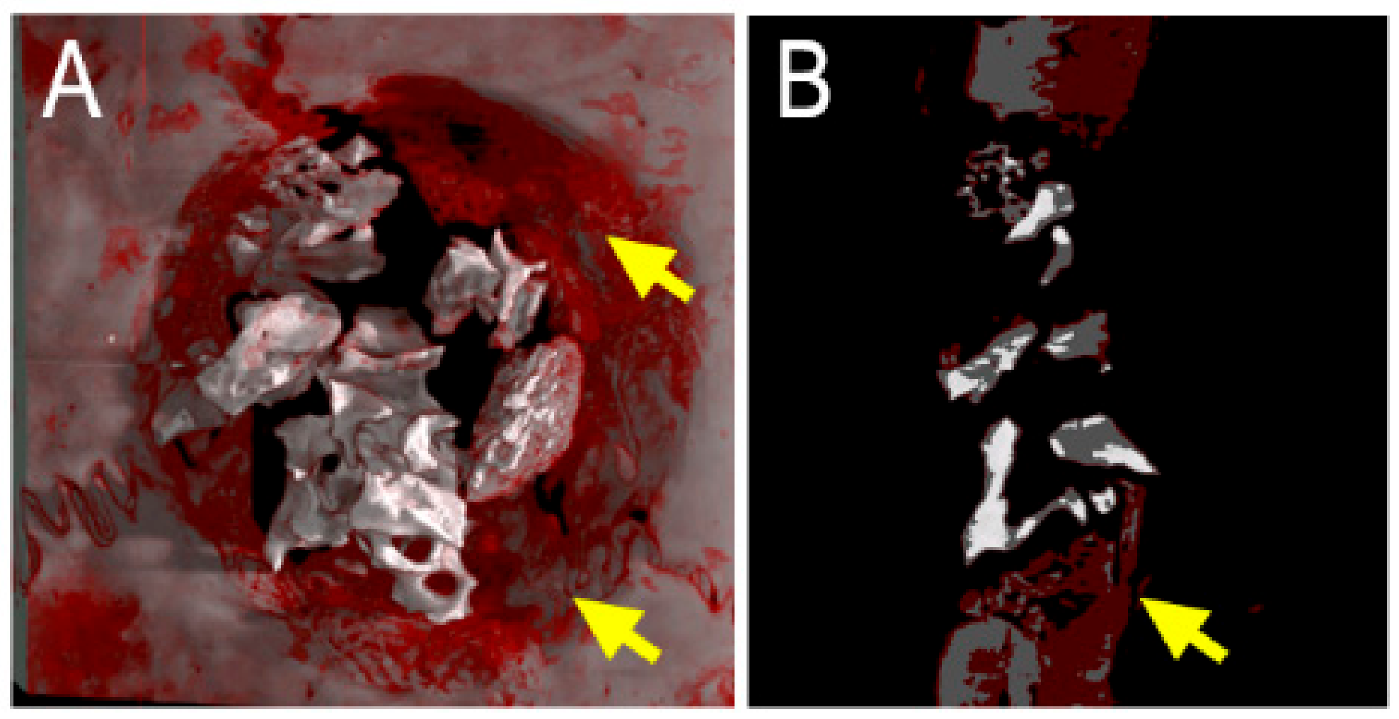 Ijms 21 00778 g005 Ijms 21 00778 g005