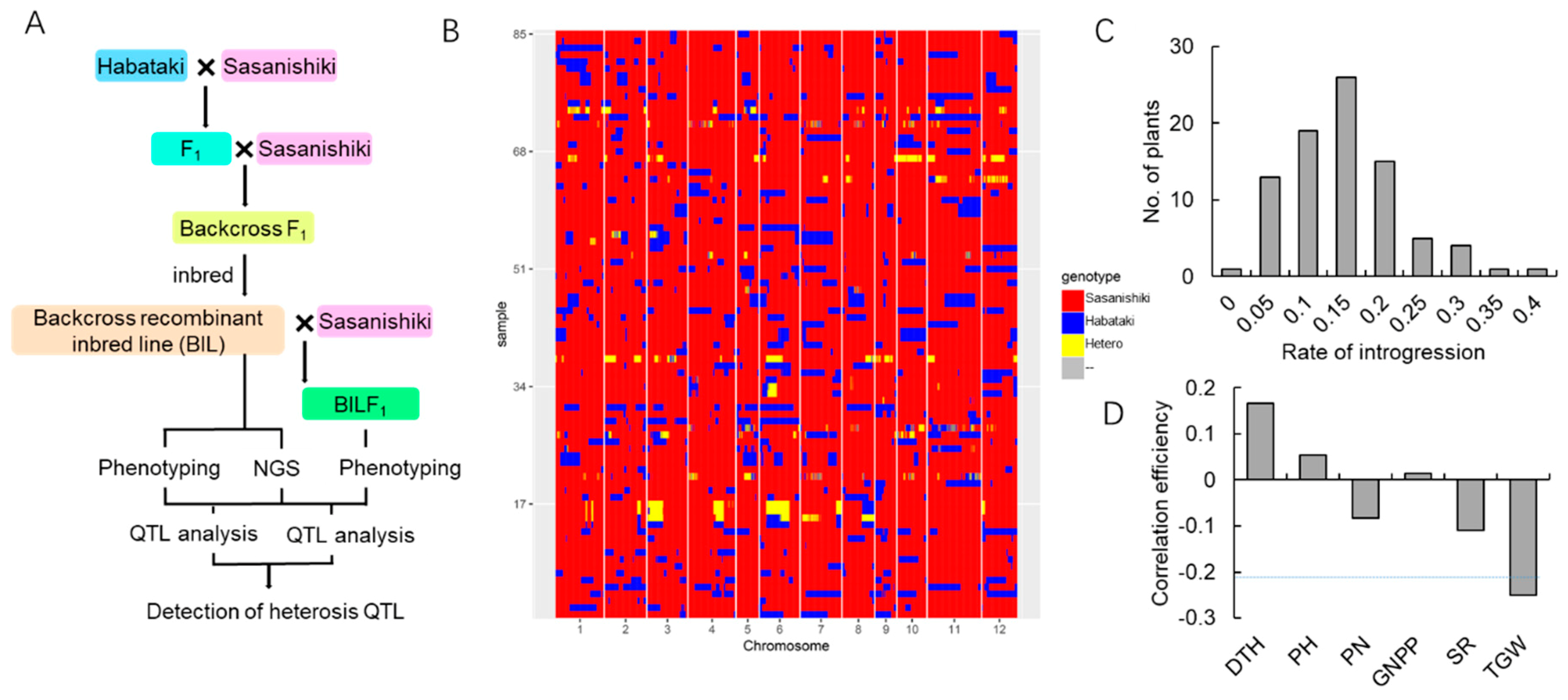Ijms 21 00780 g001 Ijms 21 00780 g001