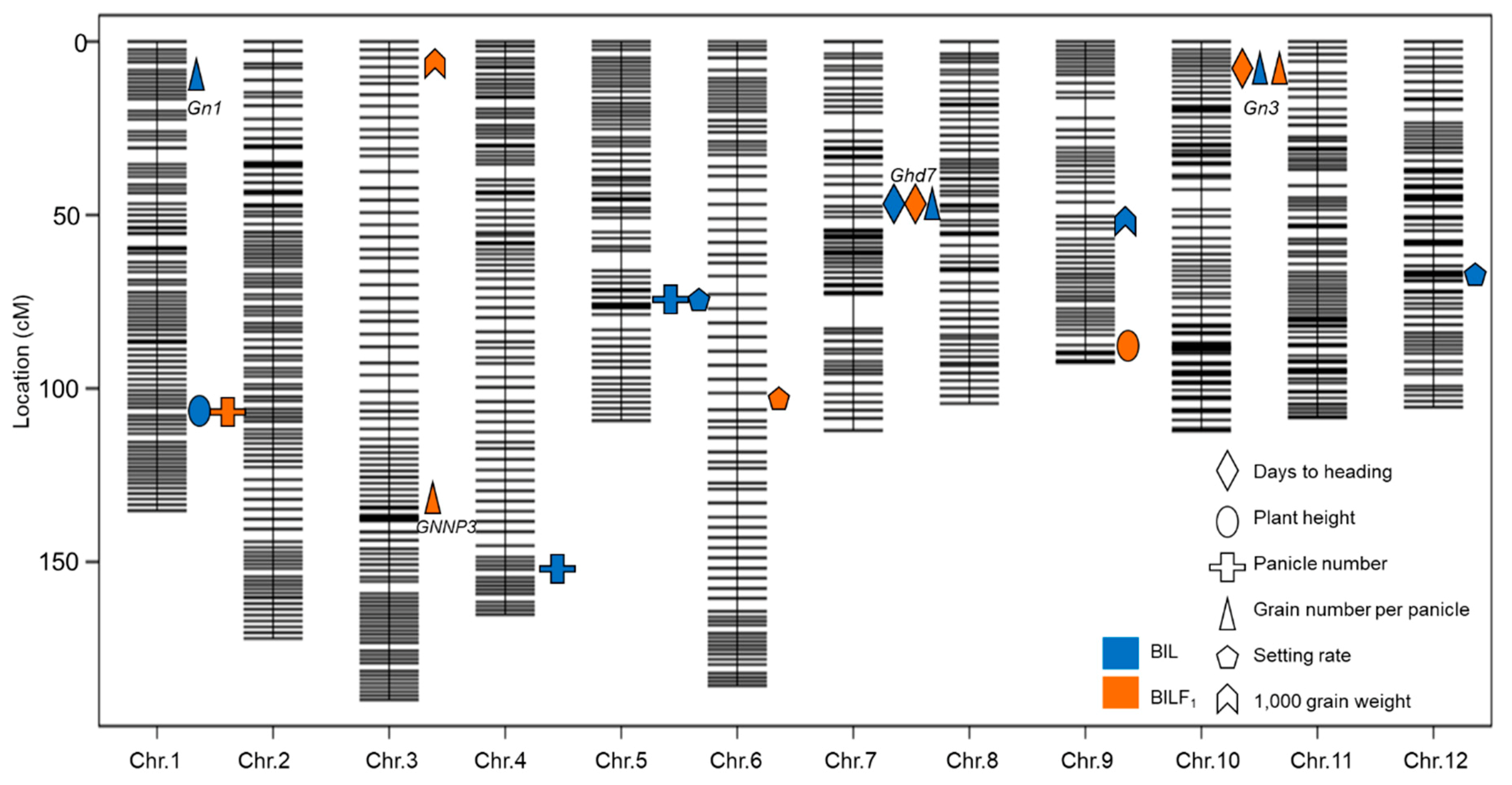 Ijms 21 00780 g004 Ijms 21 00780 g004