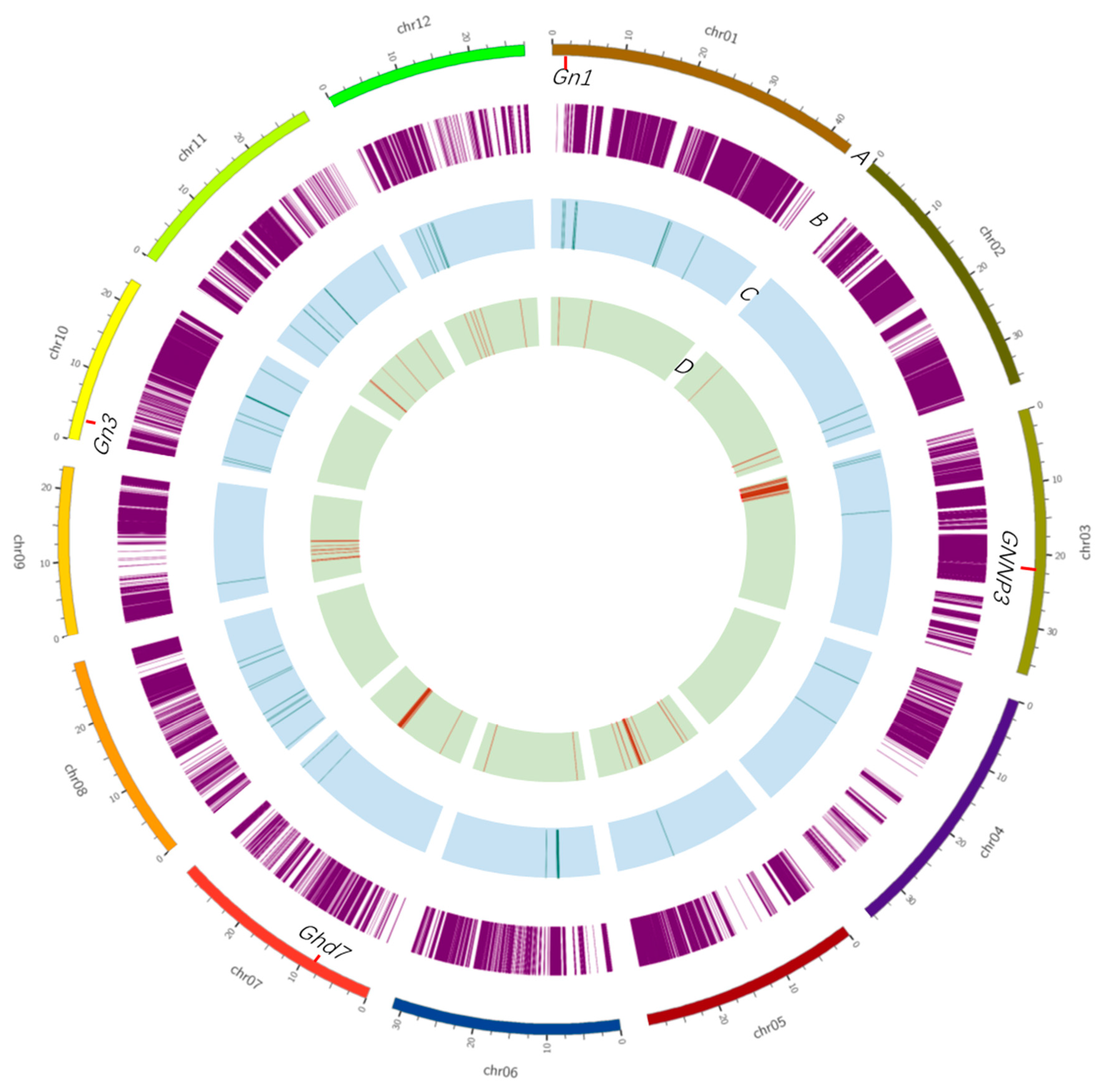 Ijms 21 00780 g006 Ijms 21 00780 g006