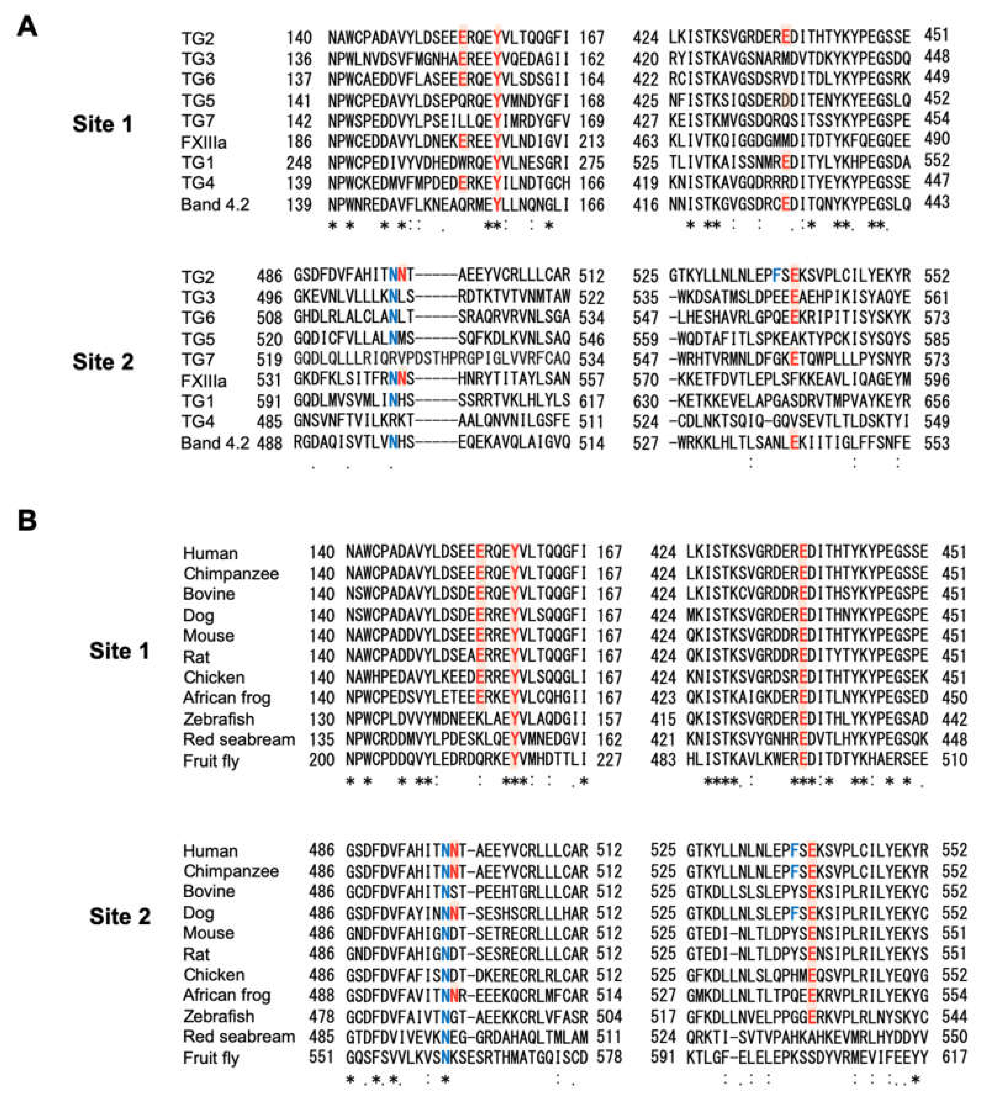 Ijms 21 00791 g002 Ijms 21 00791 g002