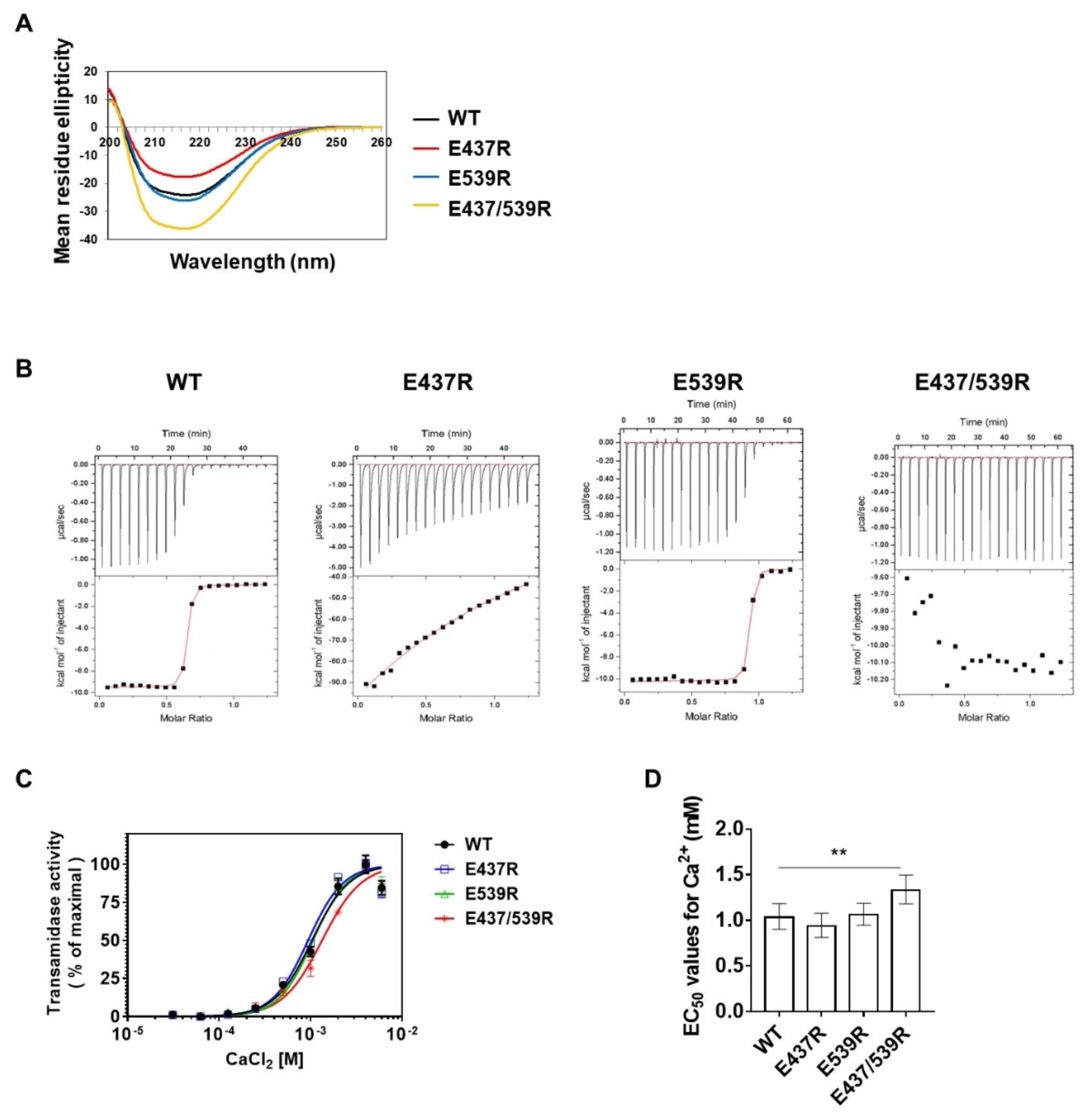 Ijms 21 00791 g003 Ijms 21 00791 g003