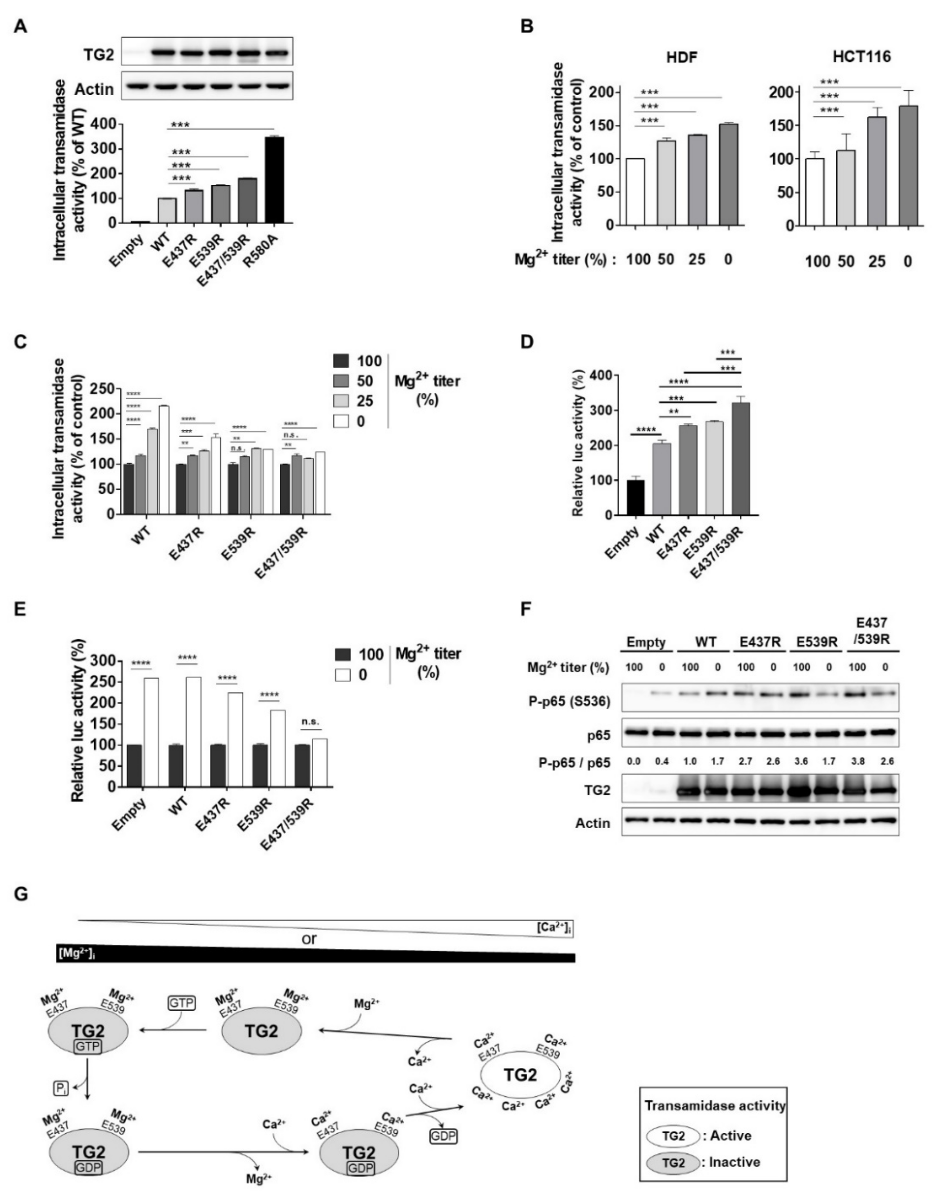 Ijms 21 00791 g006 Ijms 21 00791 g006