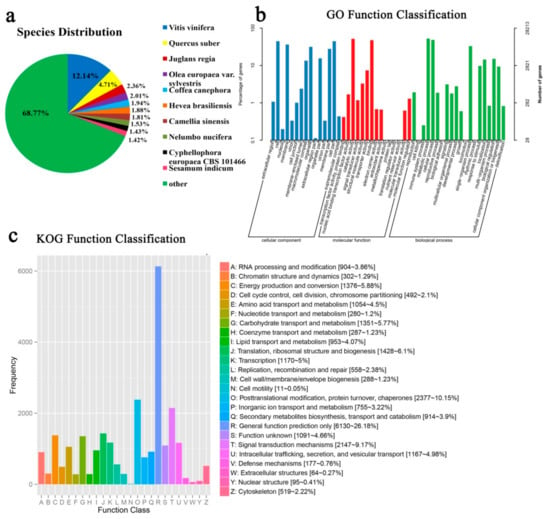 Ijms Free Full Text Transcriptomic Analyses Of Camellia Oleifera Huaxin Leaf Reveal Candidate Genes Related To Long Term Cold Stress Html