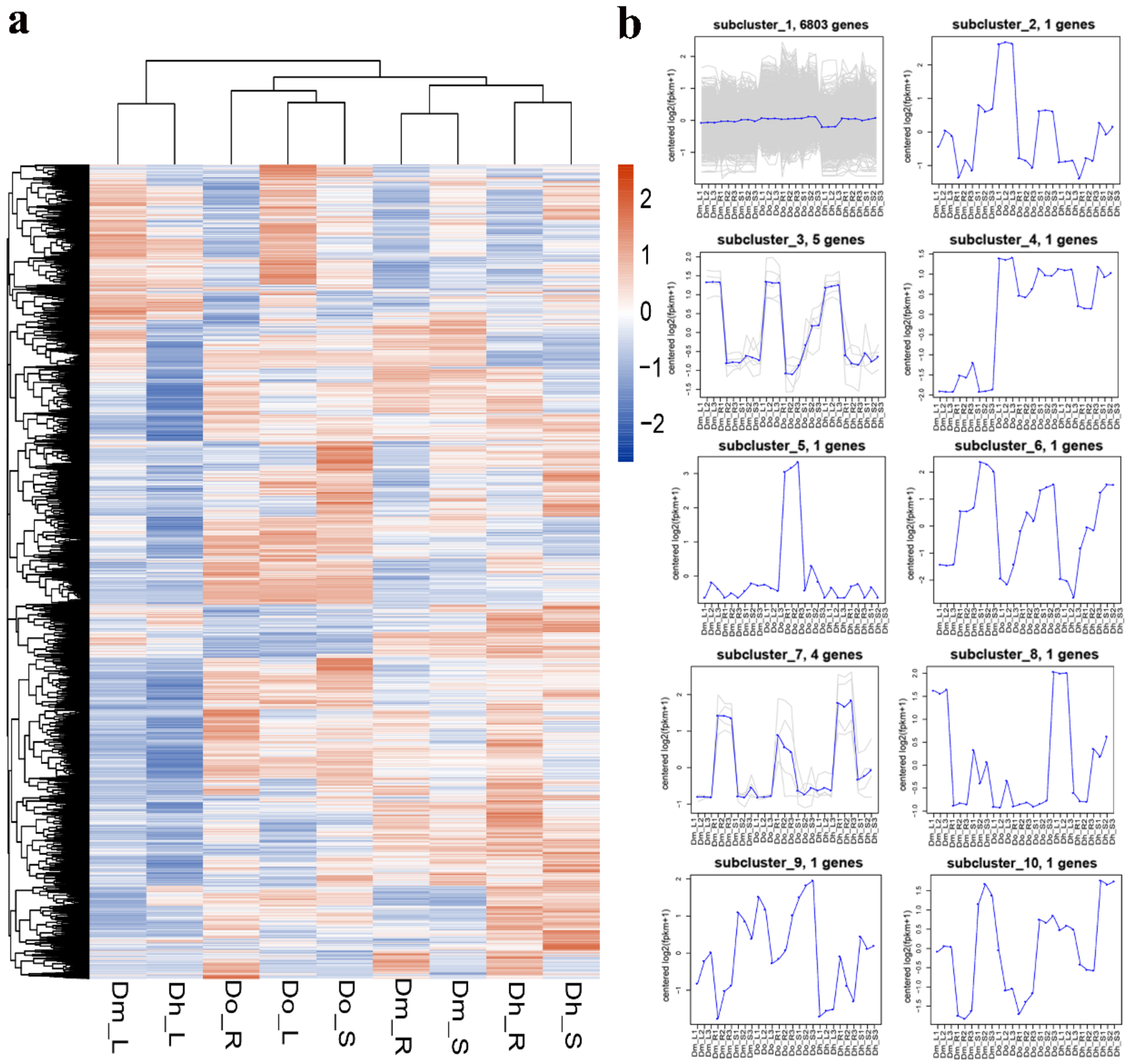 Ijms 21 00861 g004 Ijms 21 00861 g004