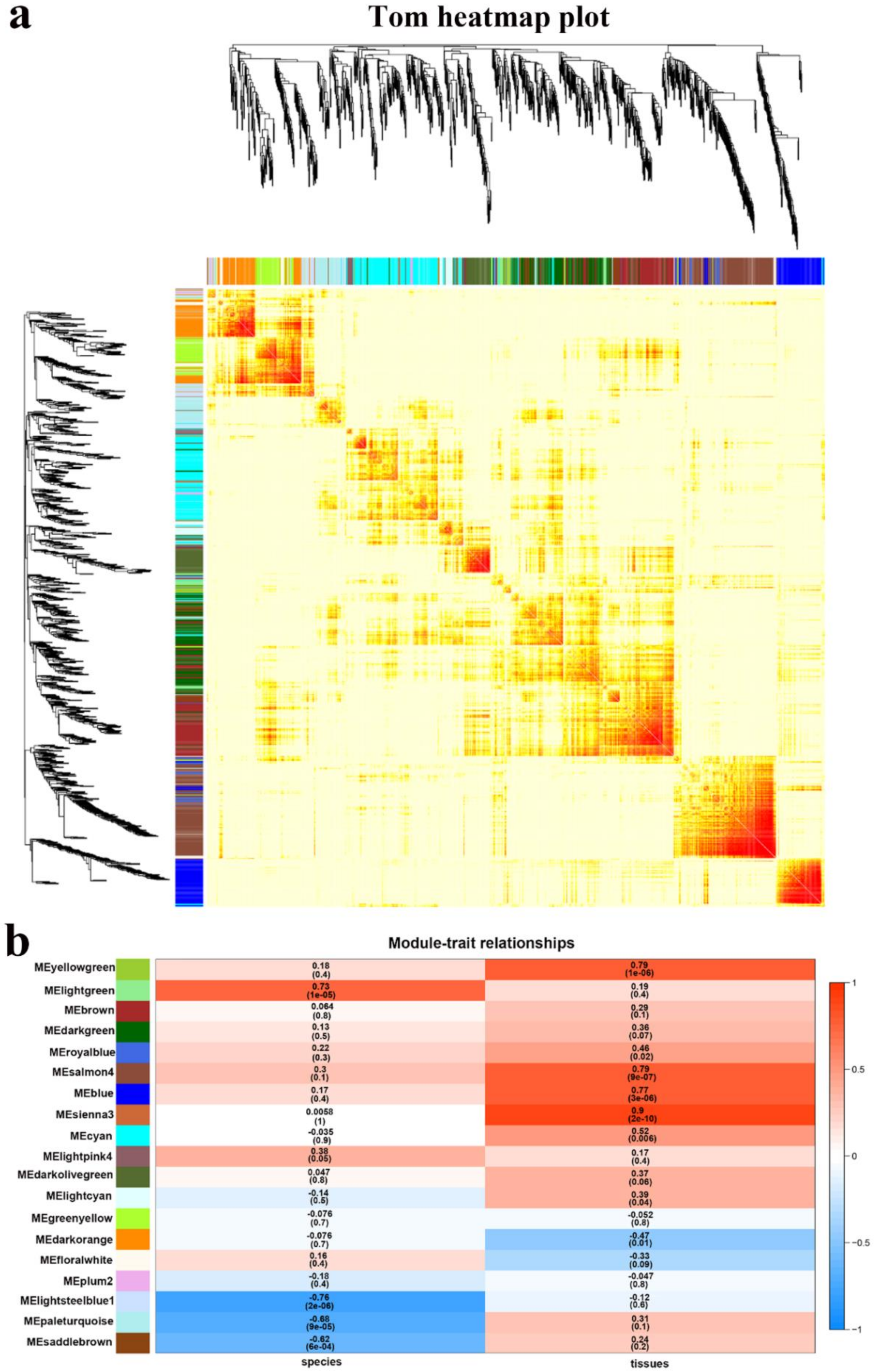 Ijms 21 00861 g008 Ijms 21 00861 g008