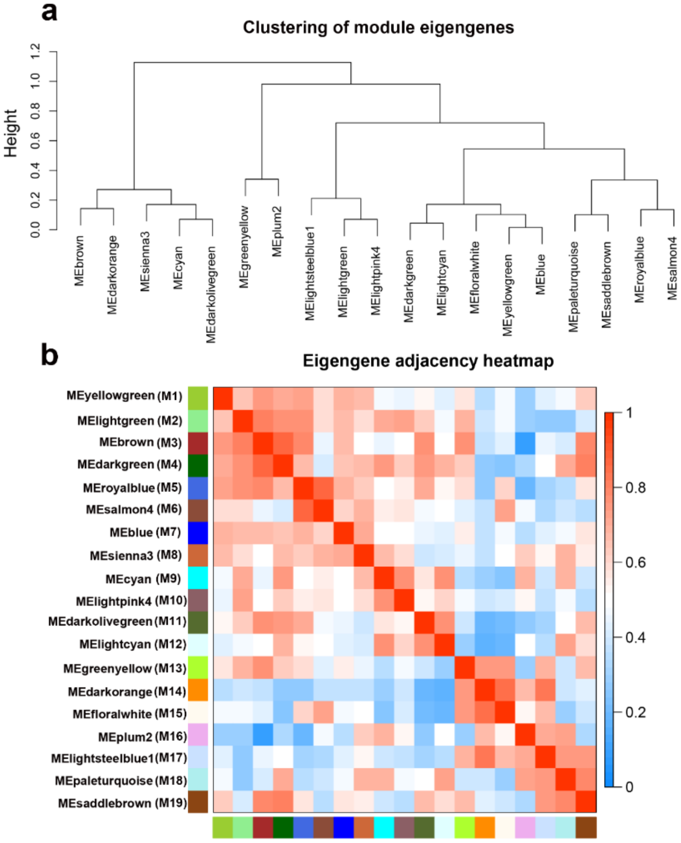 Ijms 21 00861 g009 Ijms 21 00861 g009
