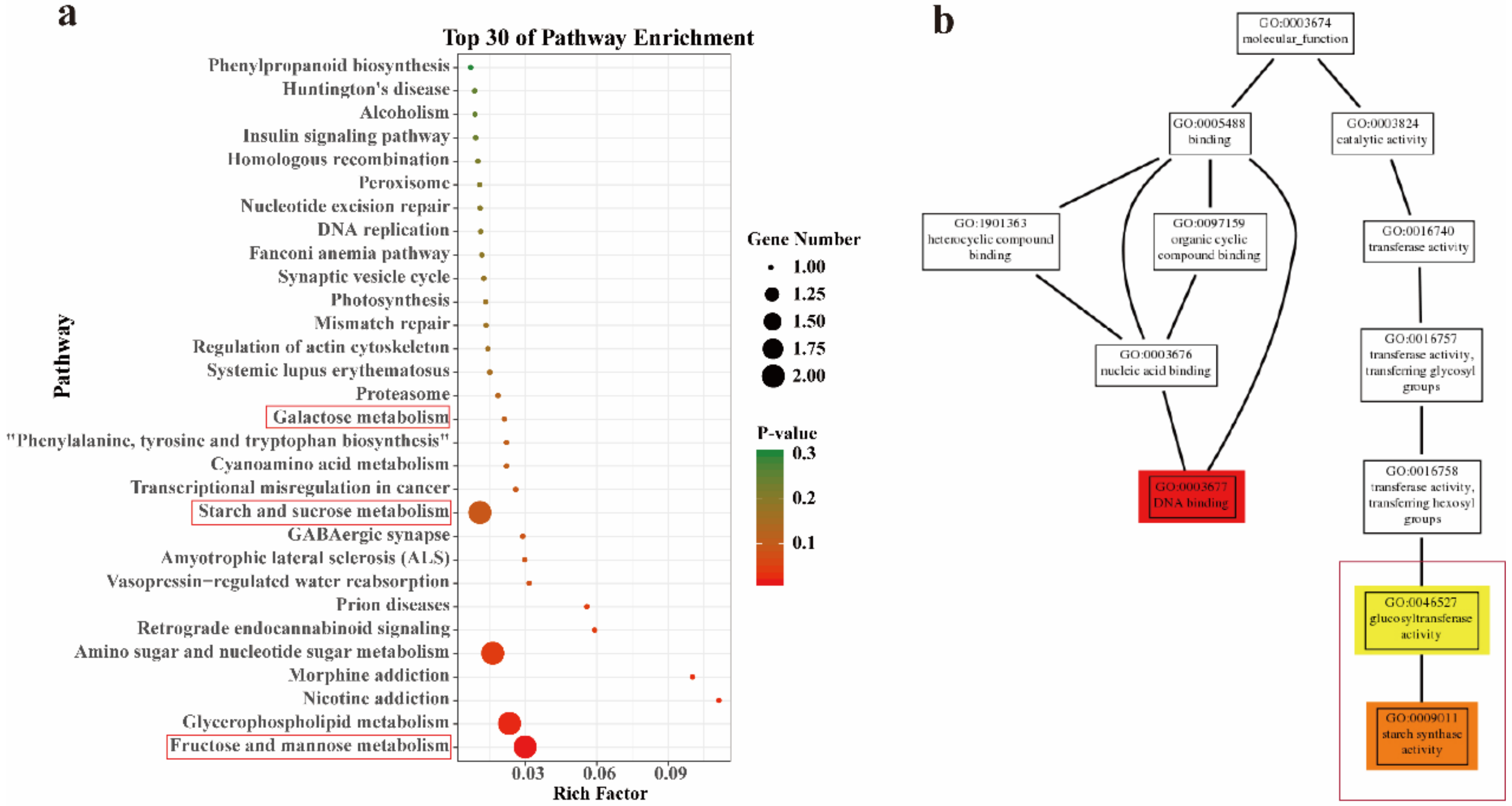 Ijms 21 00861 g010 Ijms 21 00861 g010