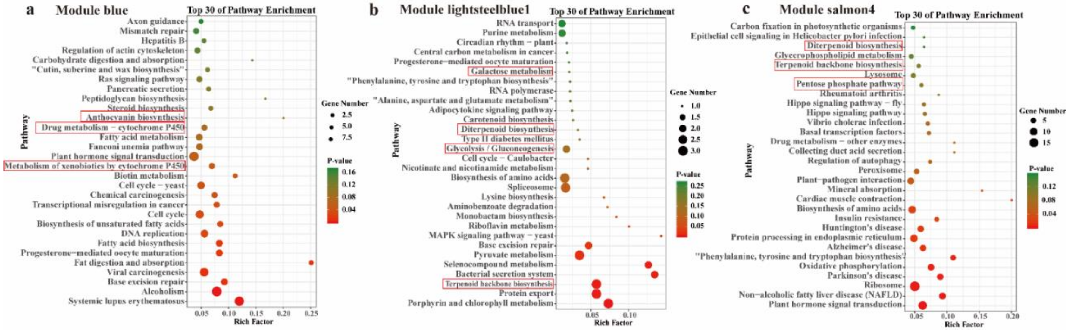 Ijms 21 00861 g011 Ijms 21 00861 g011
