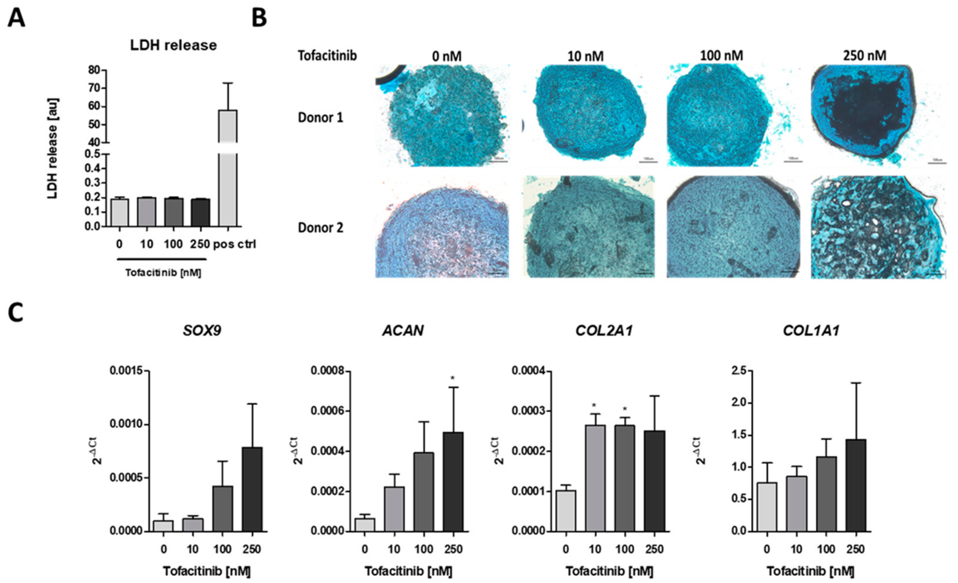 Ijms 21 00865 g002 Ijms 21 00865 g002