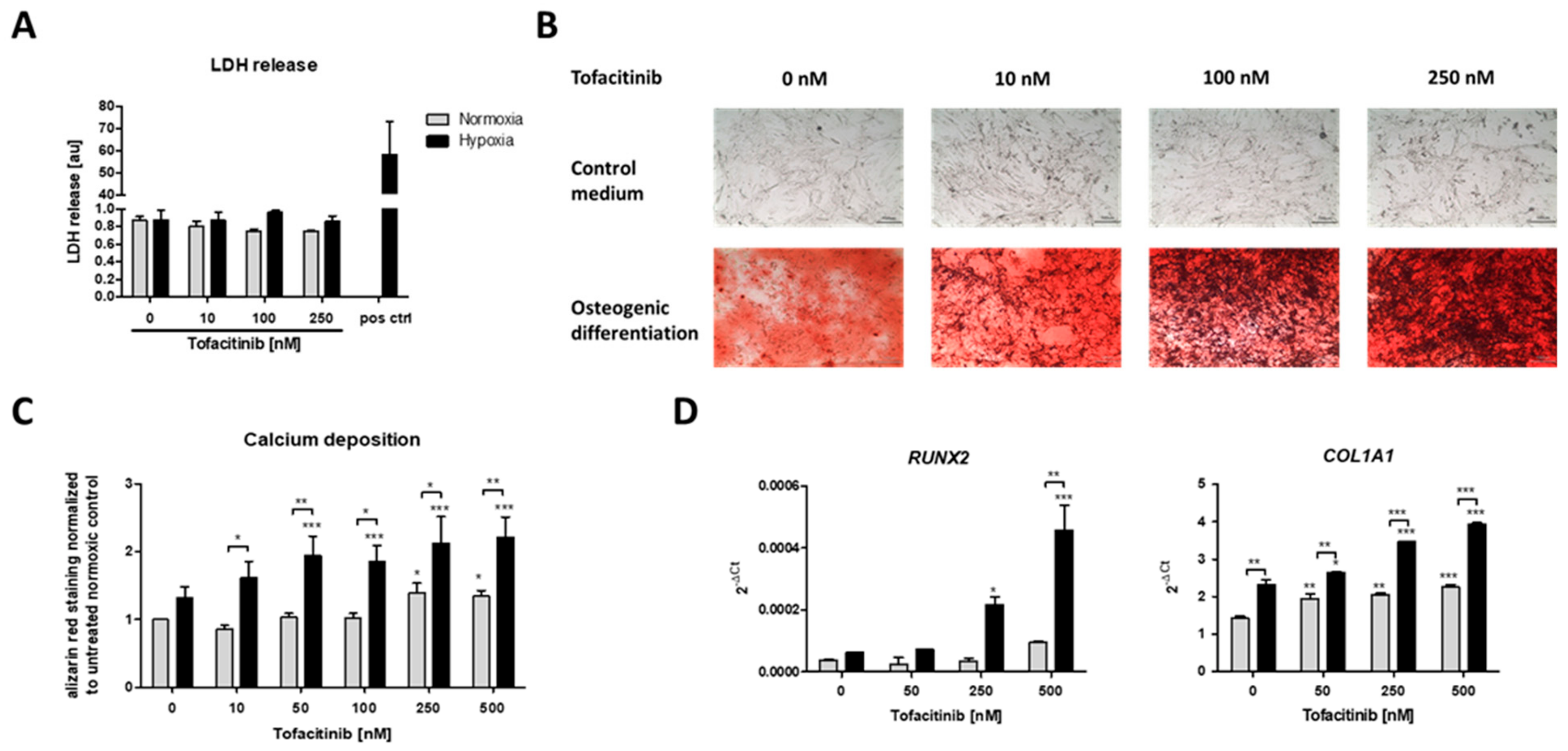 Ijms 21 00865 g003 Ijms 21 00865 g003