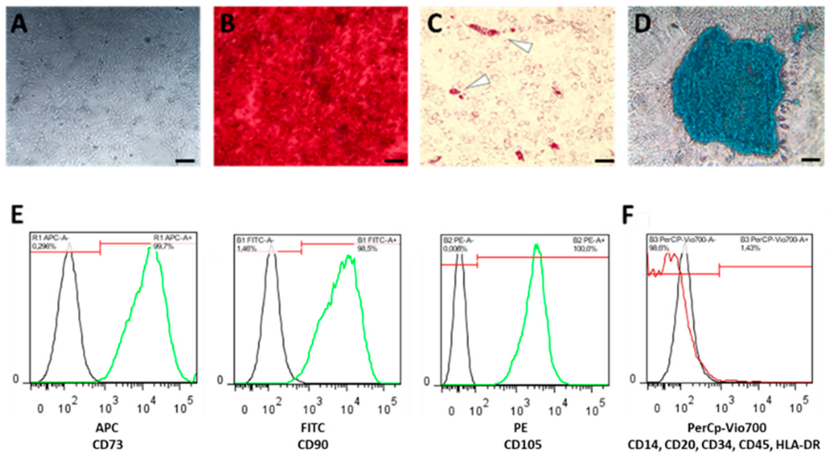 Ijms 21 00865 g005 Ijms 21 00865 g005
