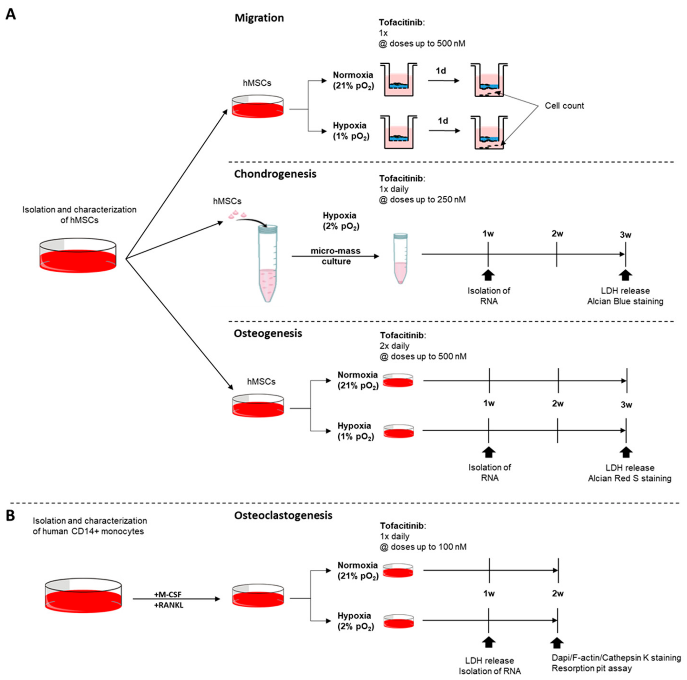 Ijms 21 00865 g006 Ijms 21 00865 g006