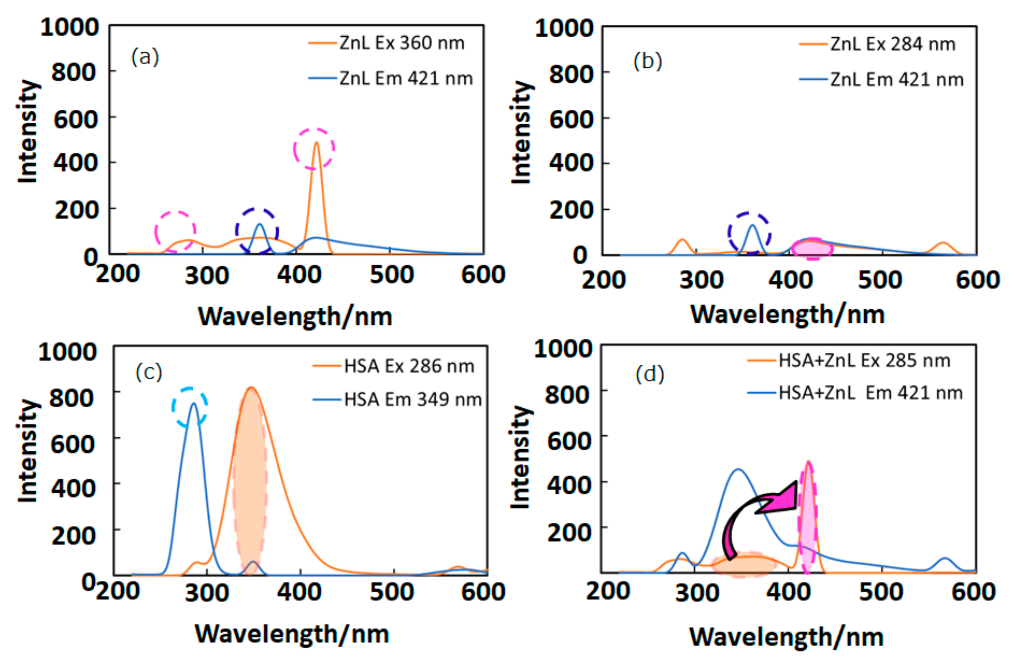 Ijms Free Full Text Degradation Of Human Serum Albumin By Infrared Free Electron Laser Enhanced By Inclusion Of A Salen Type Schiff Base Zn Ii Complex Html