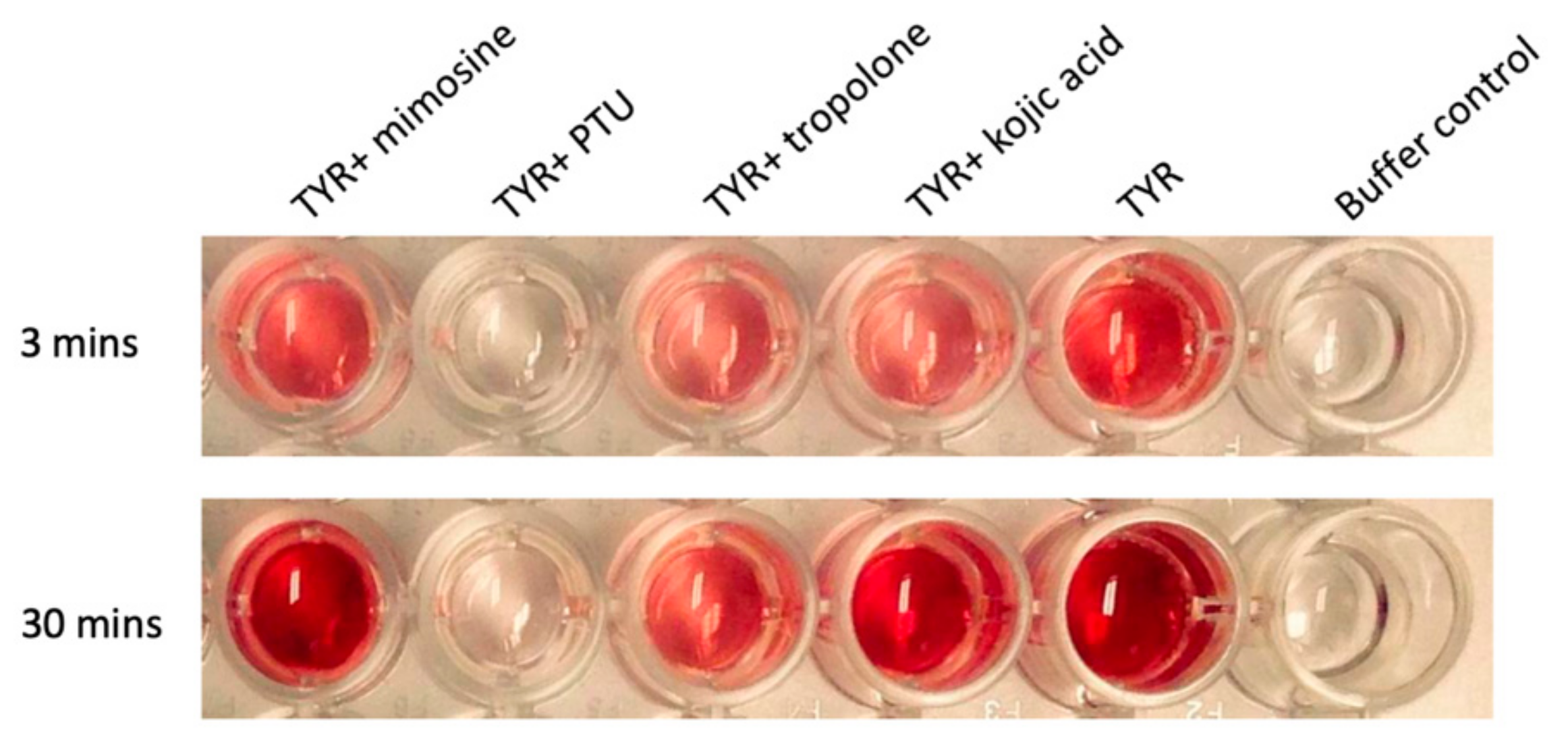 Ijms 21 00915 g001 Ijms 21 00915 g001