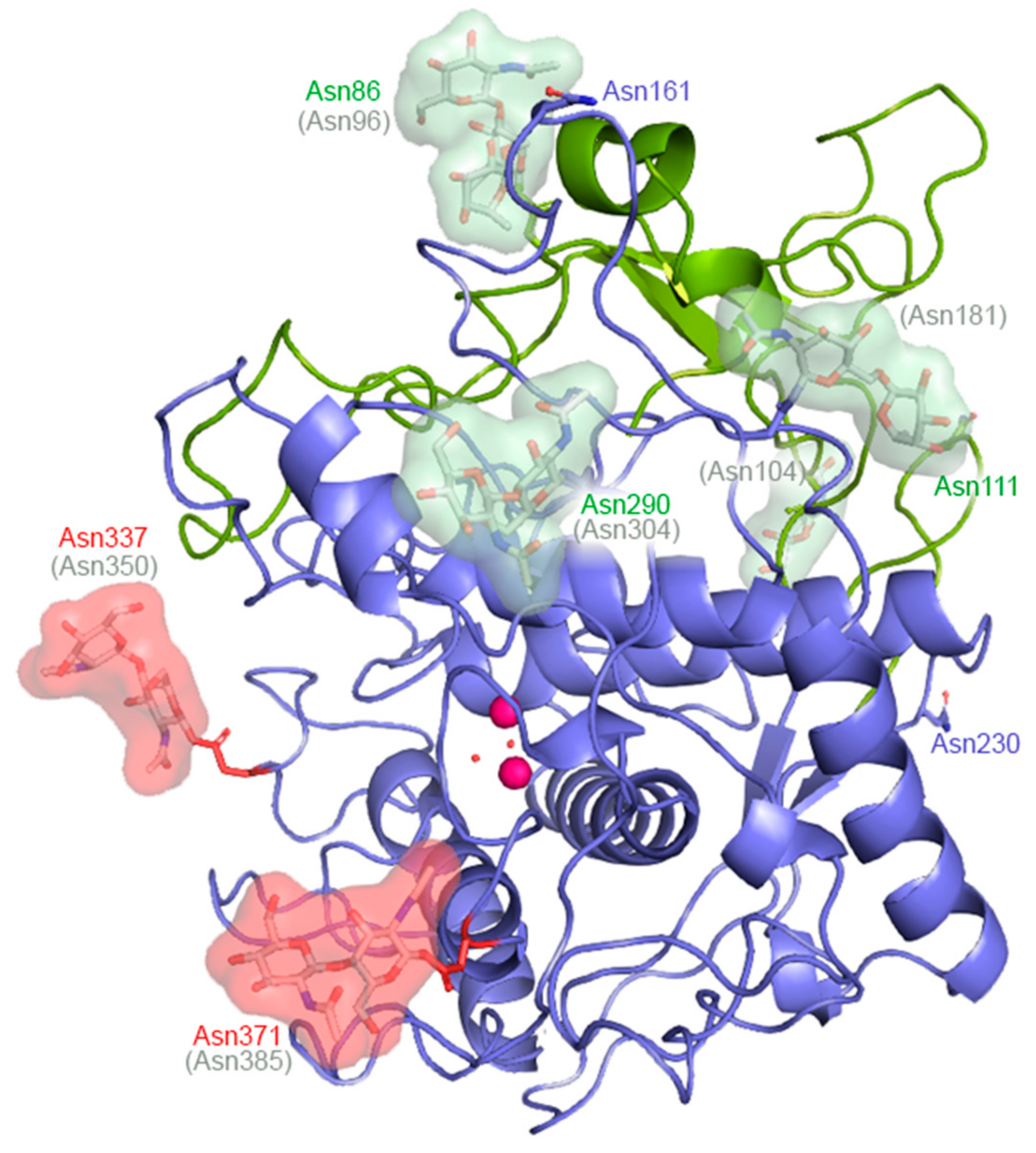 Ijms 21 00915 g005 Ijms 21 00915 g005