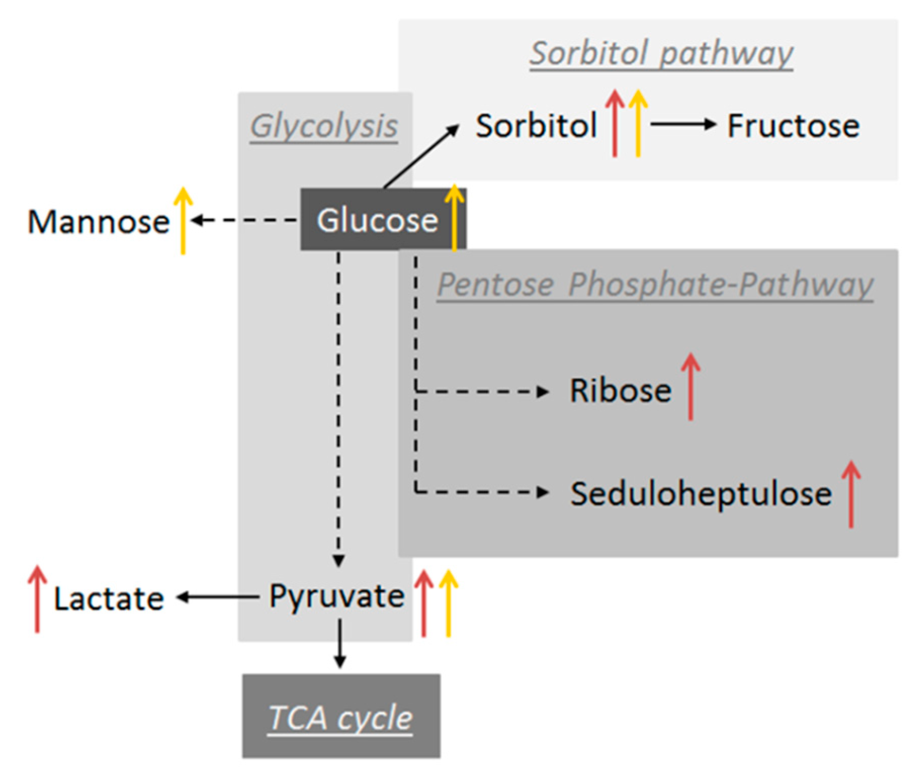Ijms 21 00919 g003 Ijms 21 00919 g003