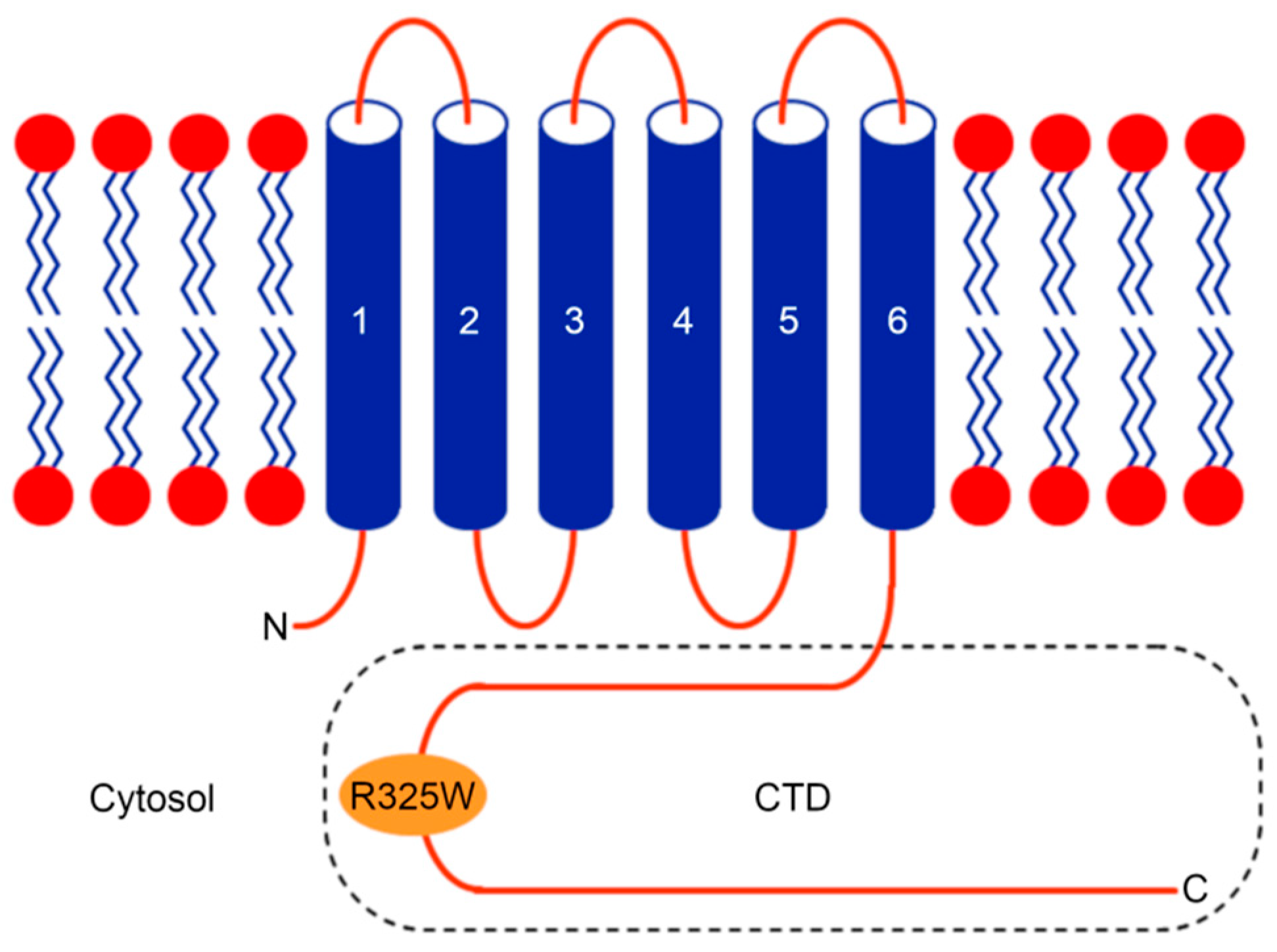 Ijms 21 00926 g001 Ijms 21 00926 g001