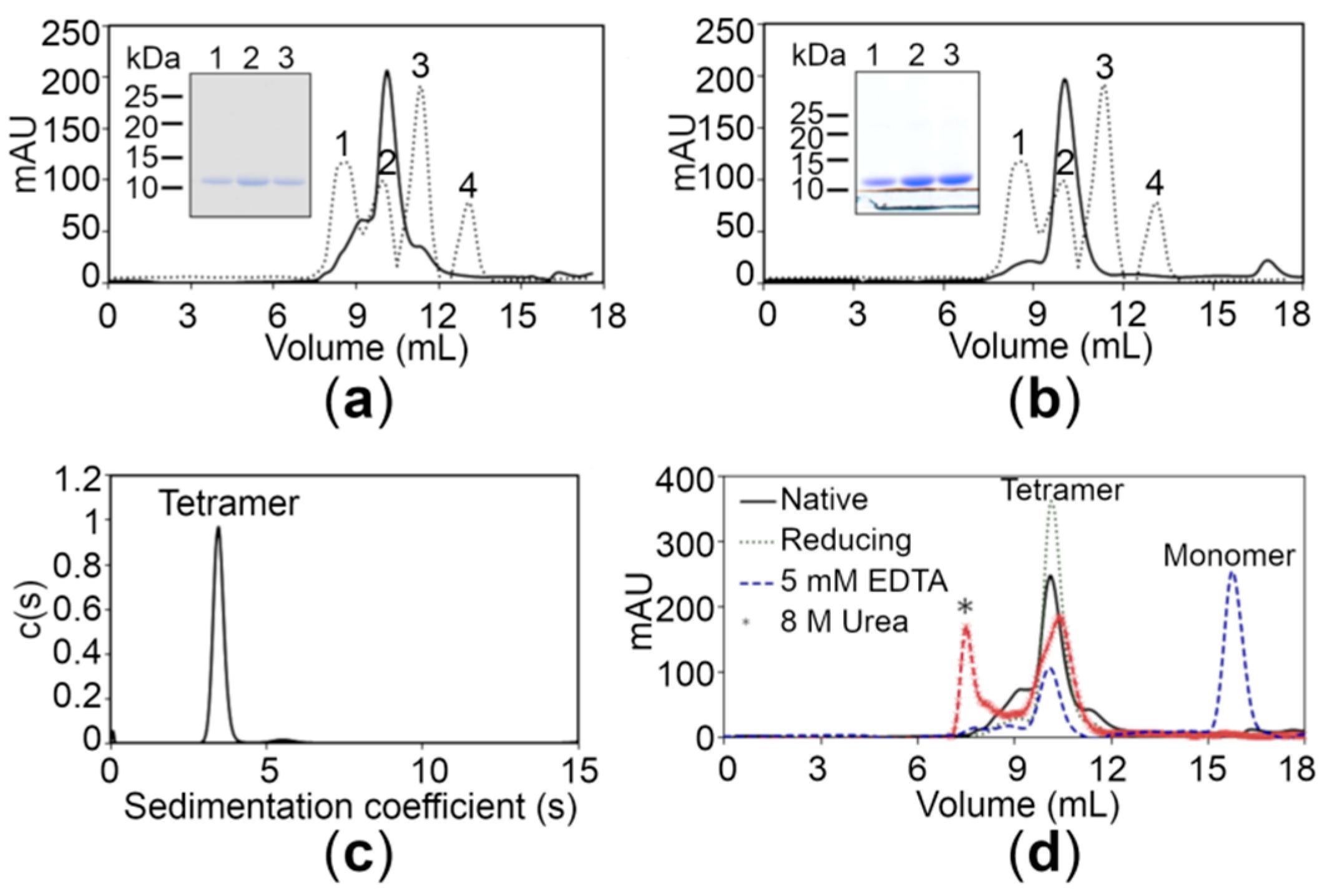 Ijms 21 00926 g002 Ijms 21 00926 g002