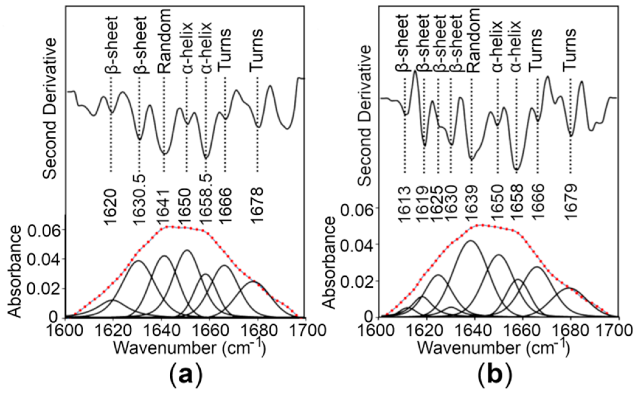 Ijms 21 00926 g005 Ijms 21 00926 g005